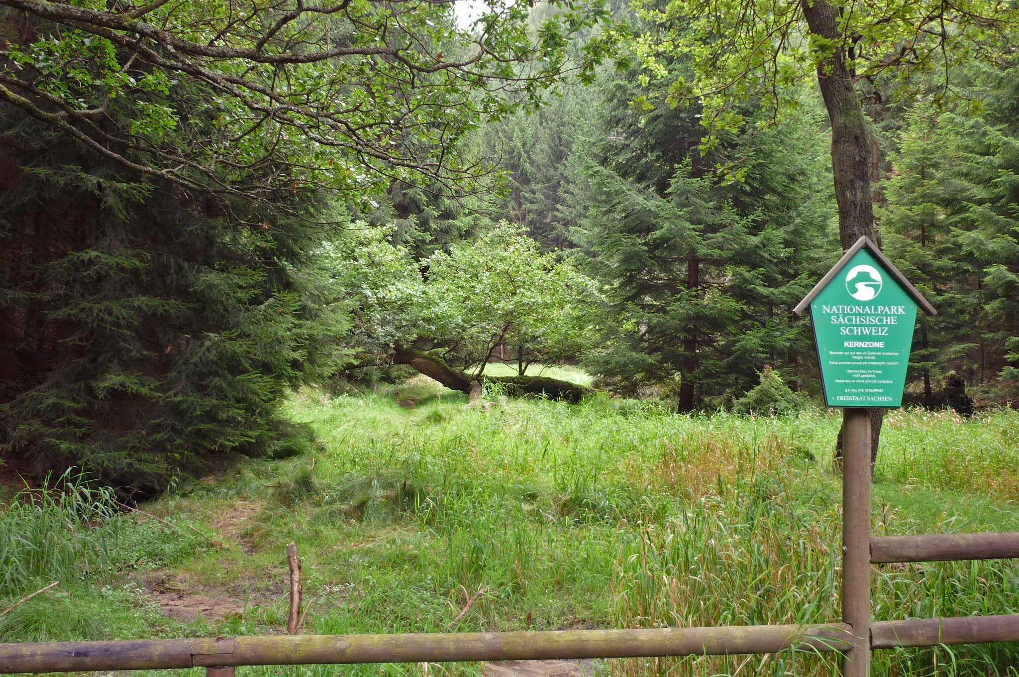Green signpost on wooden pole showing park information, dirt trail through grassy area with trees and forest in background