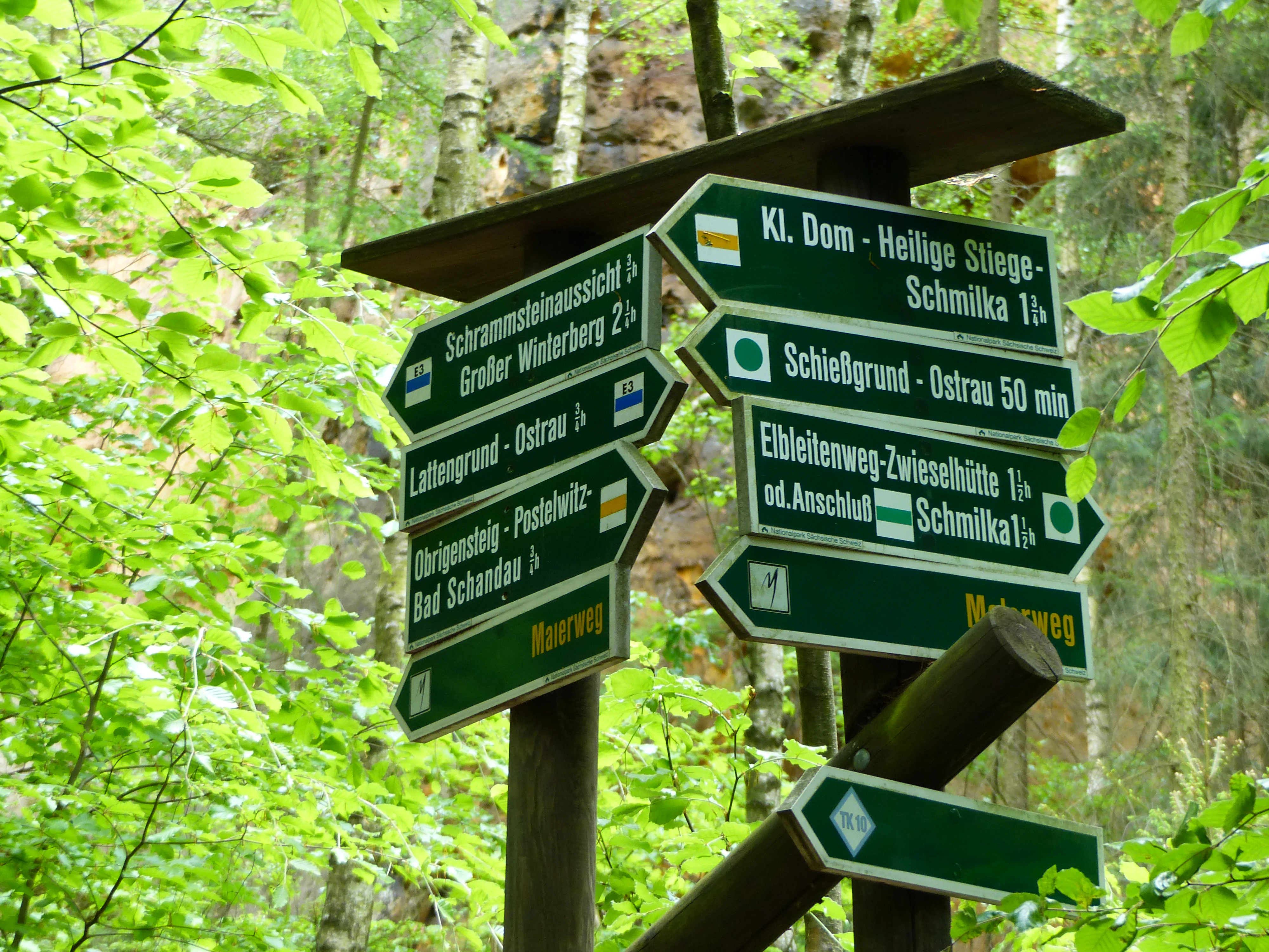 Green directional signs with white text on wooden posts in a forested area