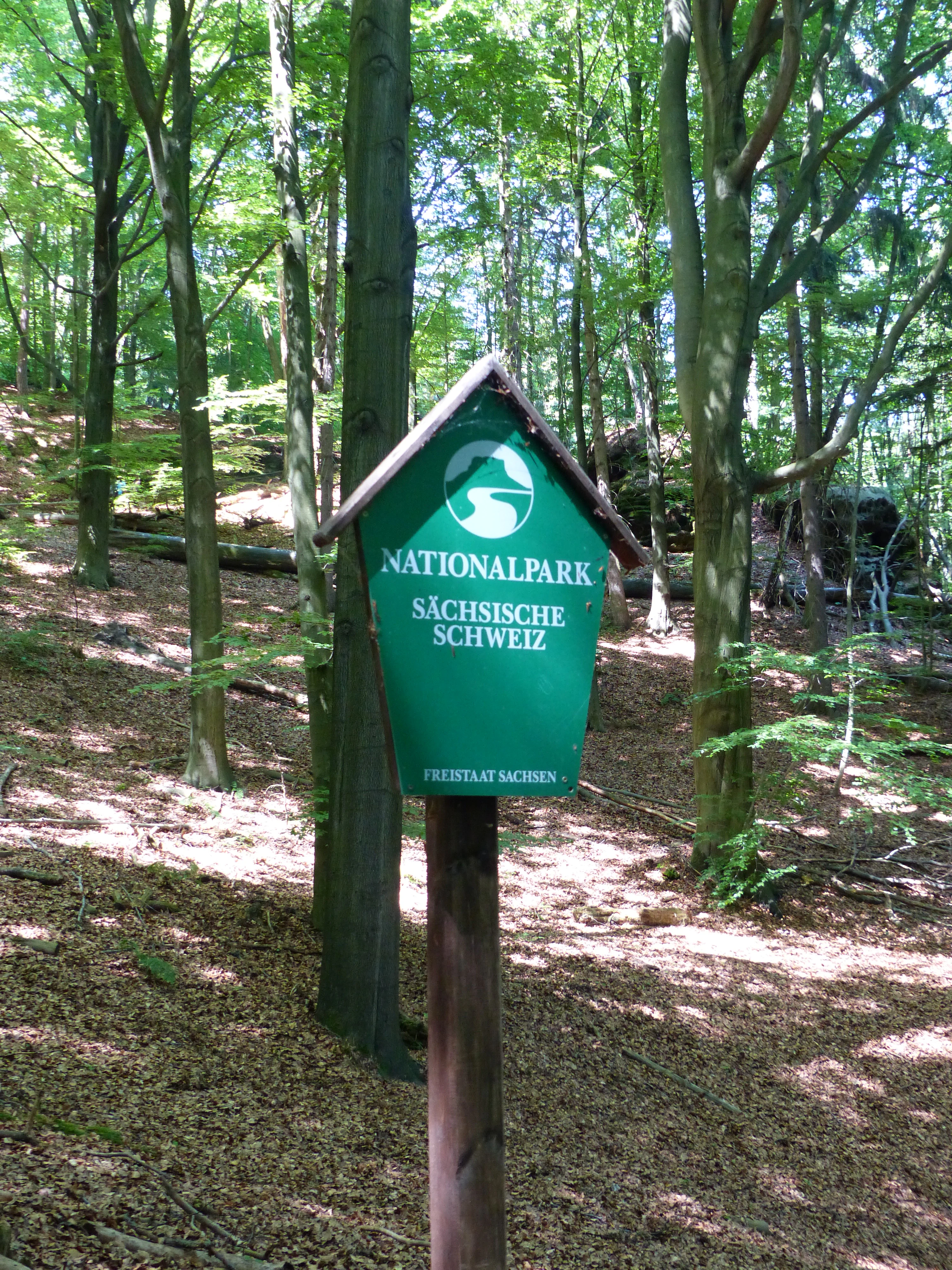Green signpost with 'NATIONALPARK SÄCHSISCHE SCHWEIZ' text and park logo, standing in a forest with tall trees and leaf-covered ground