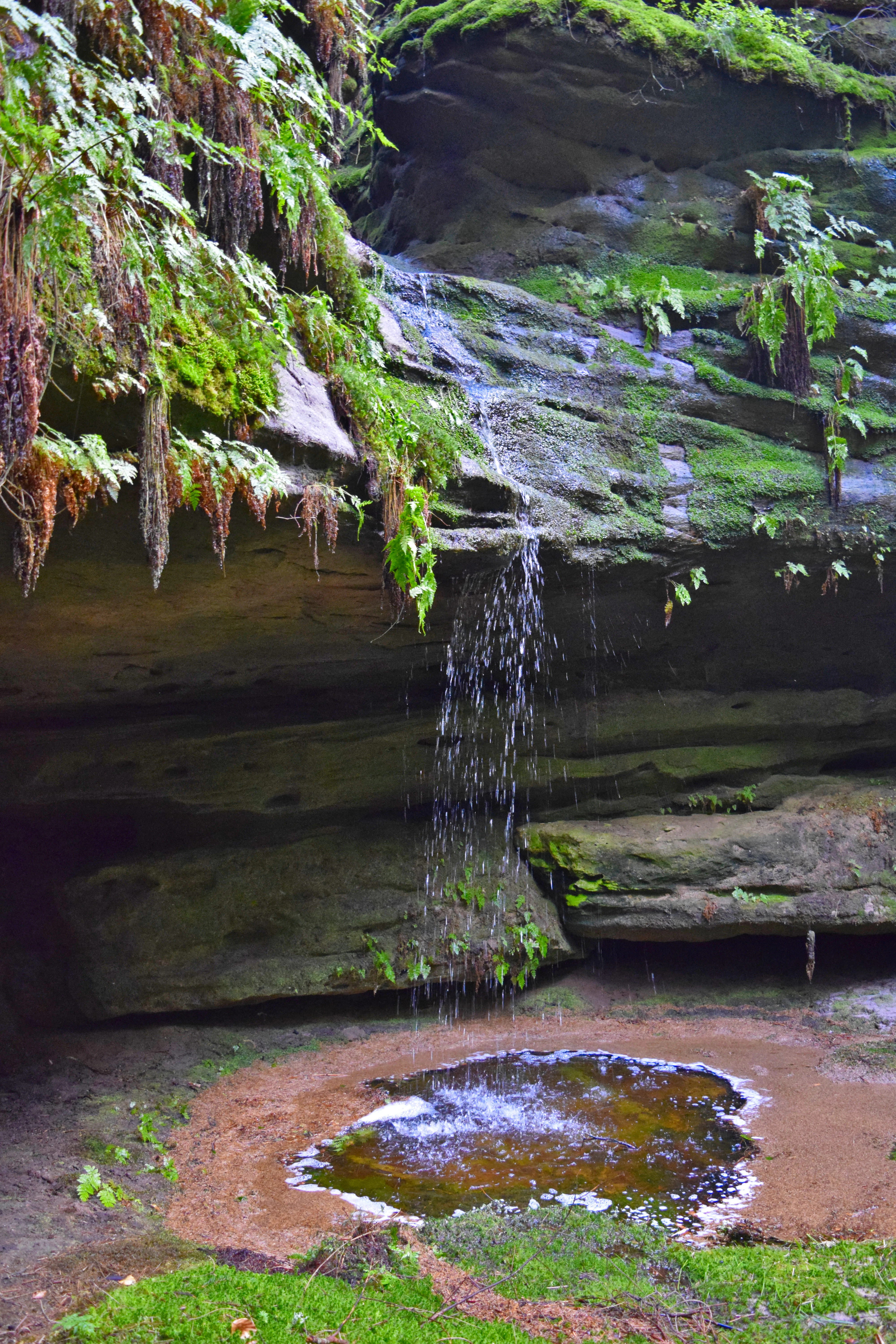 Moss-covered sandstone cliffs with a small waterfall flowing into a pool, surrounded by green vegetation and ferns
