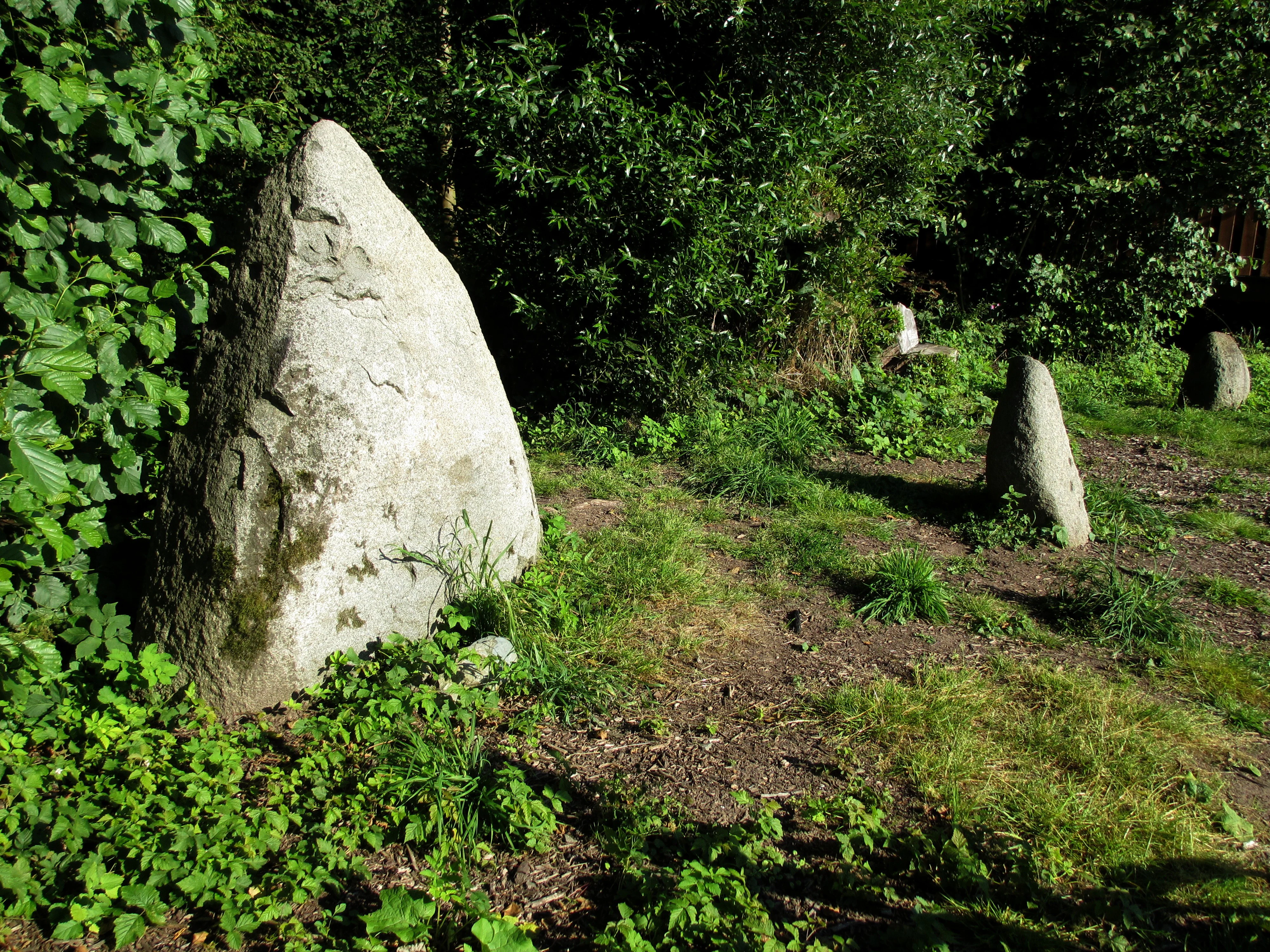 A group of standing stones, or menhirs, positioned in a grassy area surrounded by lush green foliage and trees in Scheftheimer Wiesen.