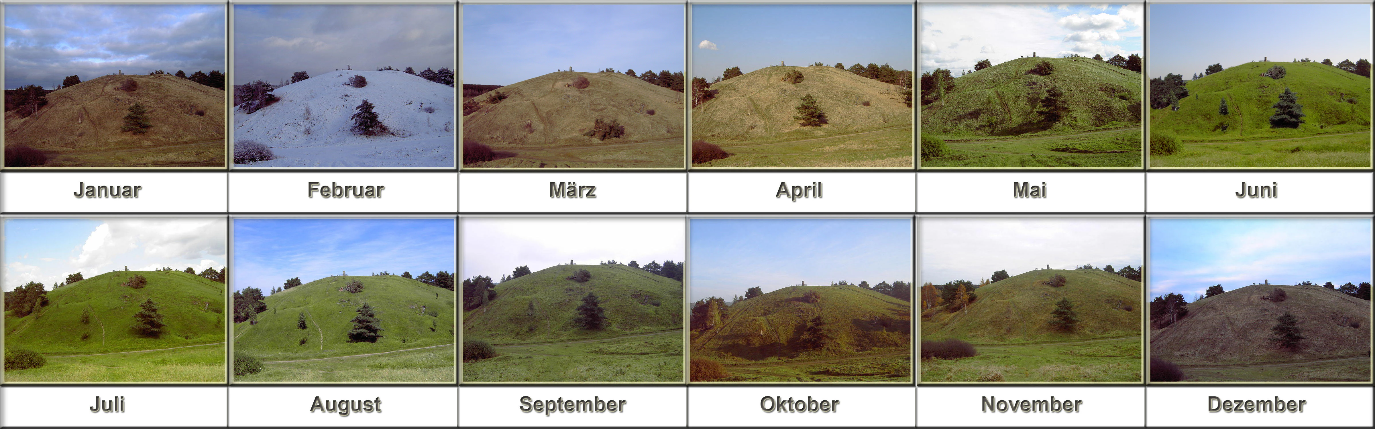 A grid of twelve photographs showing the same hill in the Schlangenberg nature reserve throughout each month of the year, from January to December, illustrating seasonal changes in vegetation and snow cover.