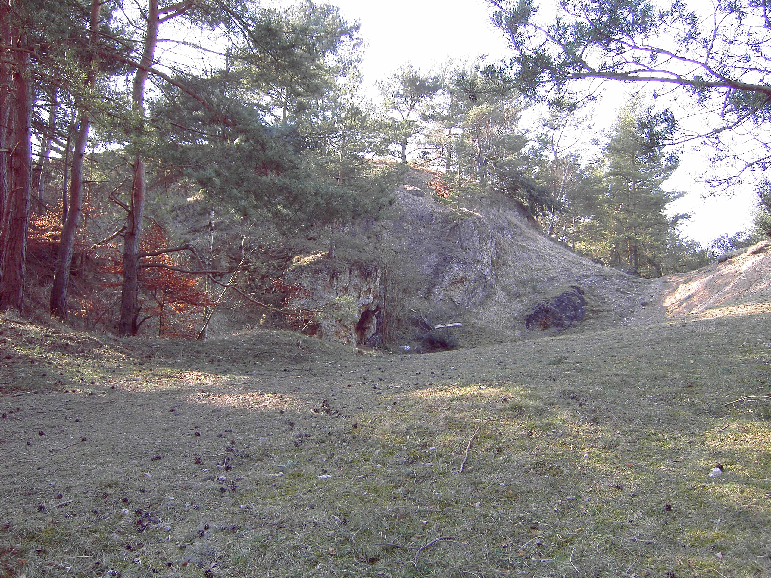 A view of the collapsed Hillemann 1 mine adit entrance built into a rocky hillside, surrounded by trees and grassy terrain.