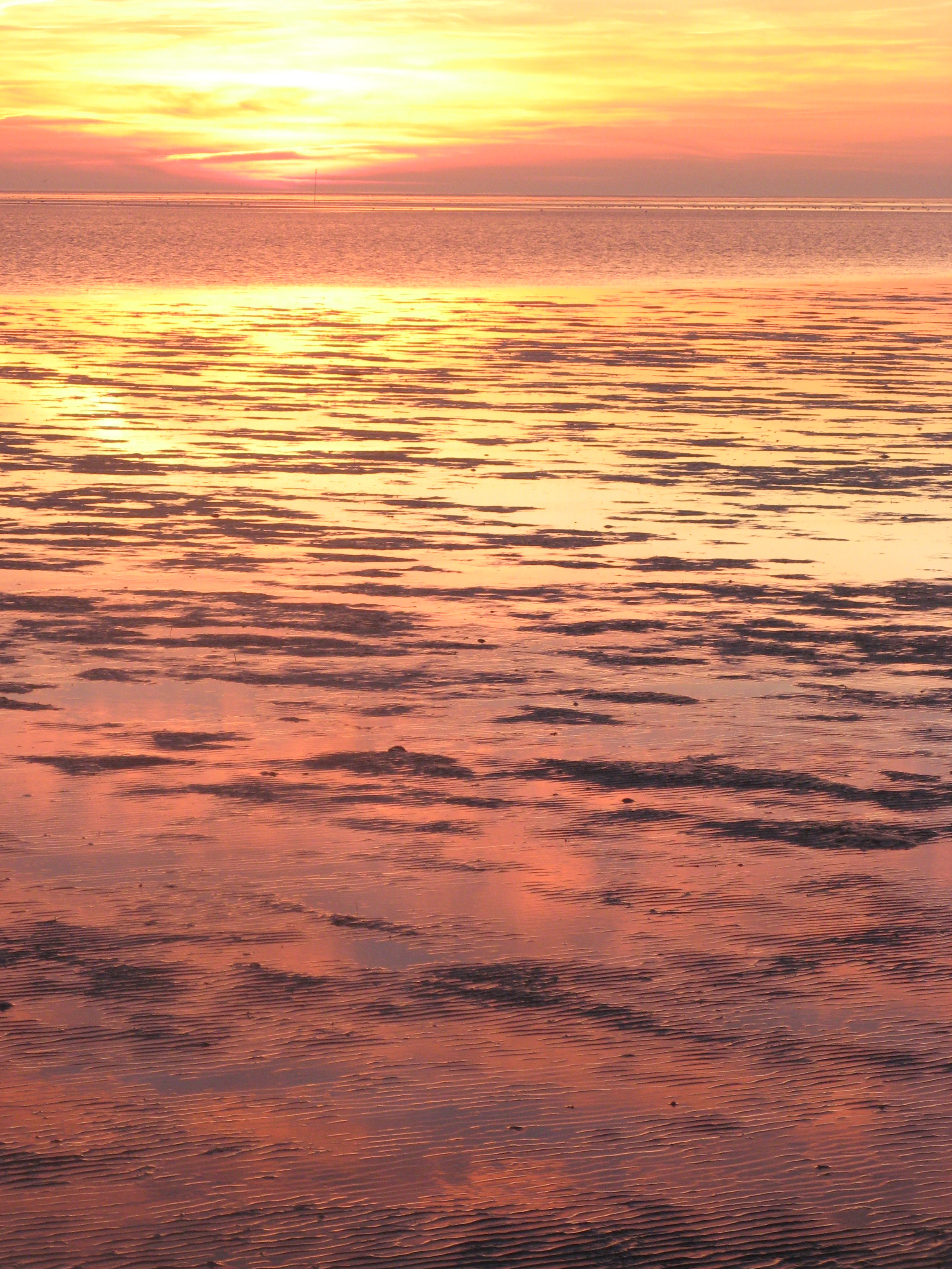 Sunset over the Wadden Sea with pink and orange sky reflections on the water's surface showing mudflat patterns