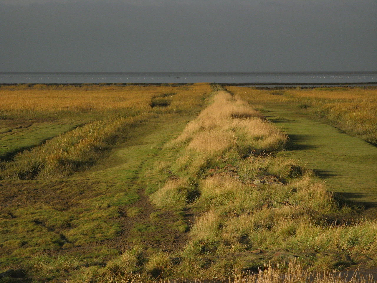 A landscape view of salt marshes with patches of green and yellow vegetation, a narrow path, and the sea in the background under a cloudy sky.