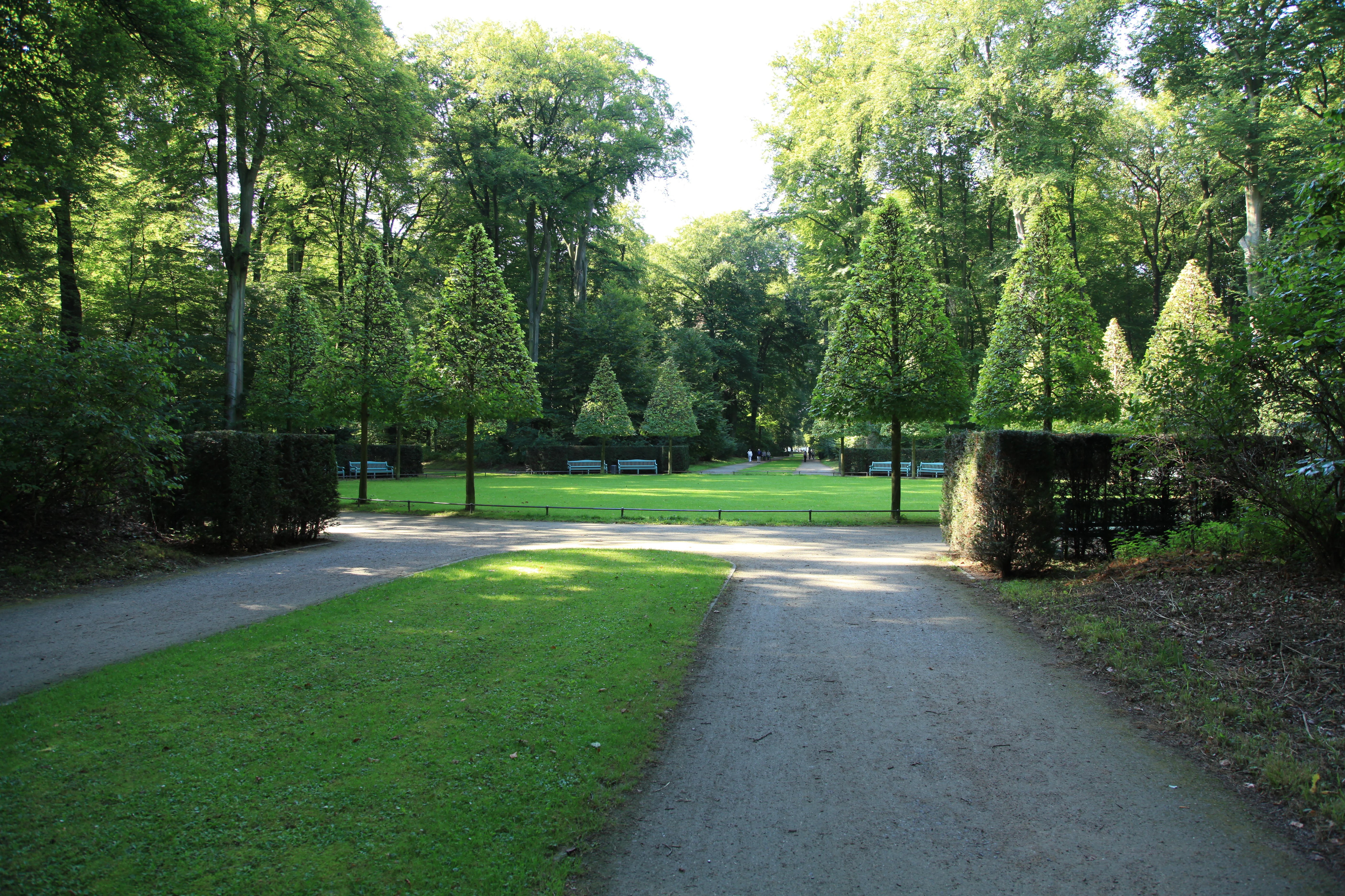 A wide, gravel walking path leads toward a green circular clearing surrounded by tall, shaped trees and dense forest at Schlosspark Benrath.
