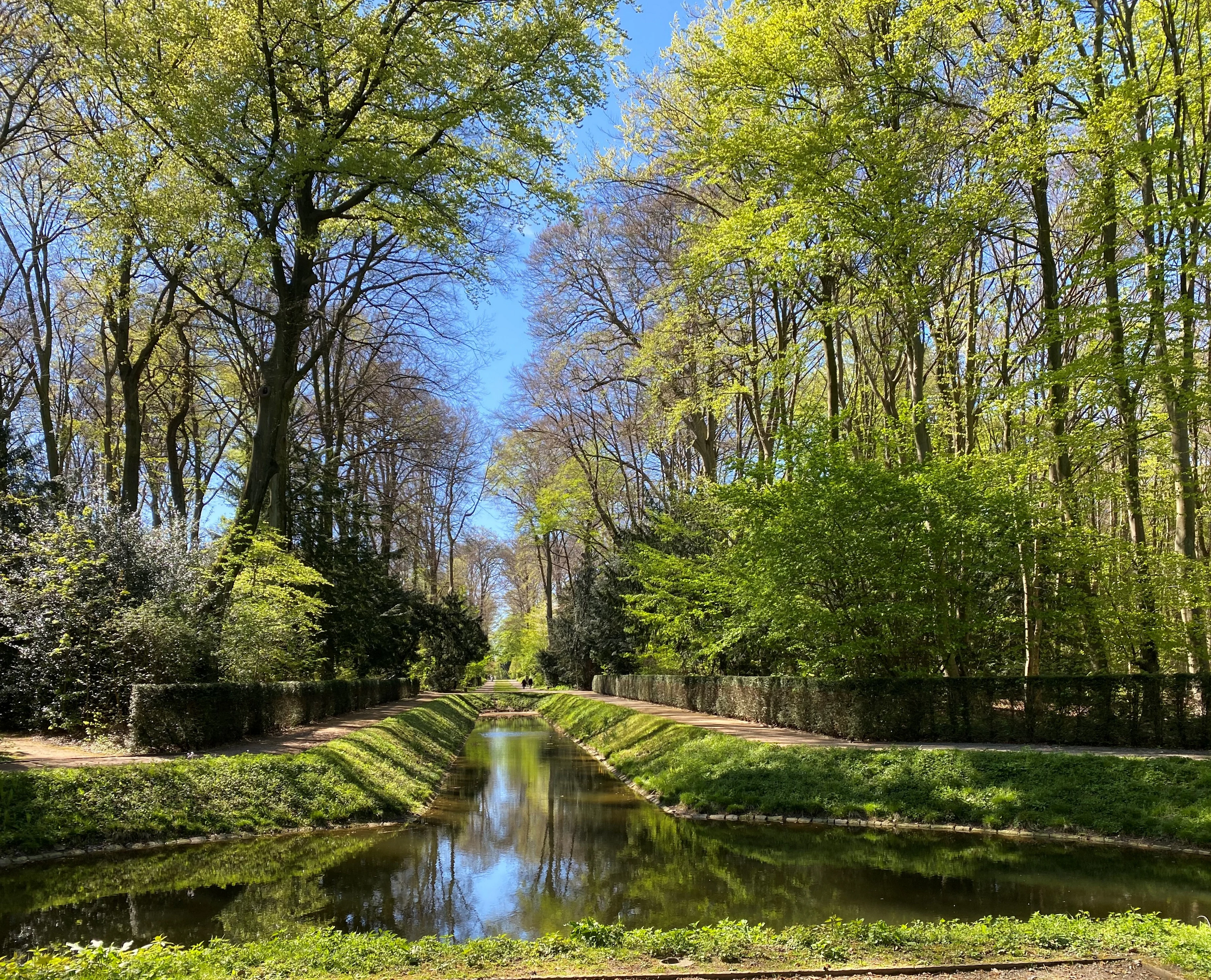 A narrow canal-like pond reflects the green trees and blue sky, flanked by manicured hedges and tall forest trees in Schlosspark Benrath.