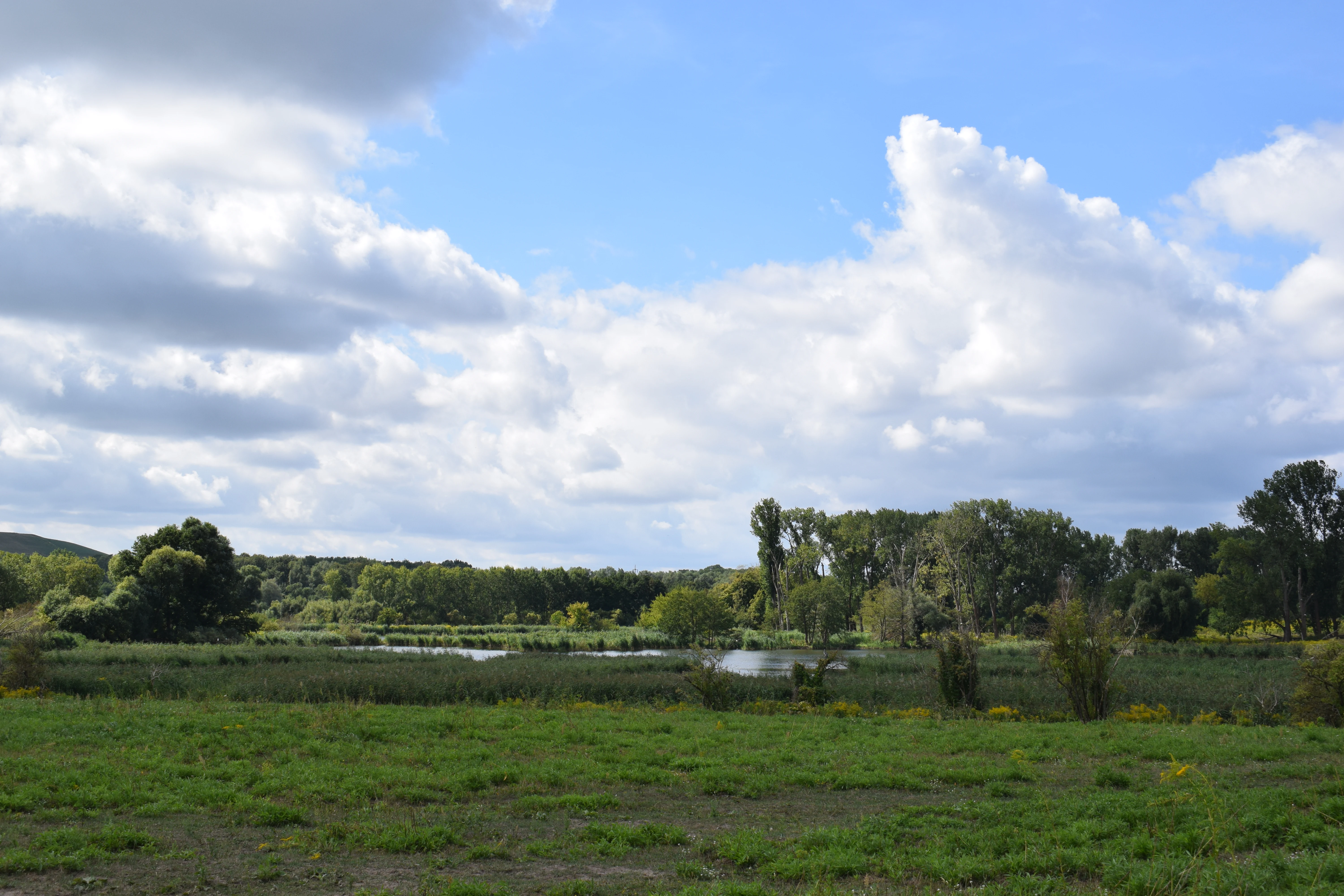 A wide view of a grassy field leading toward a cluster of ponds surrounded by trees under a partly cloudy sky.