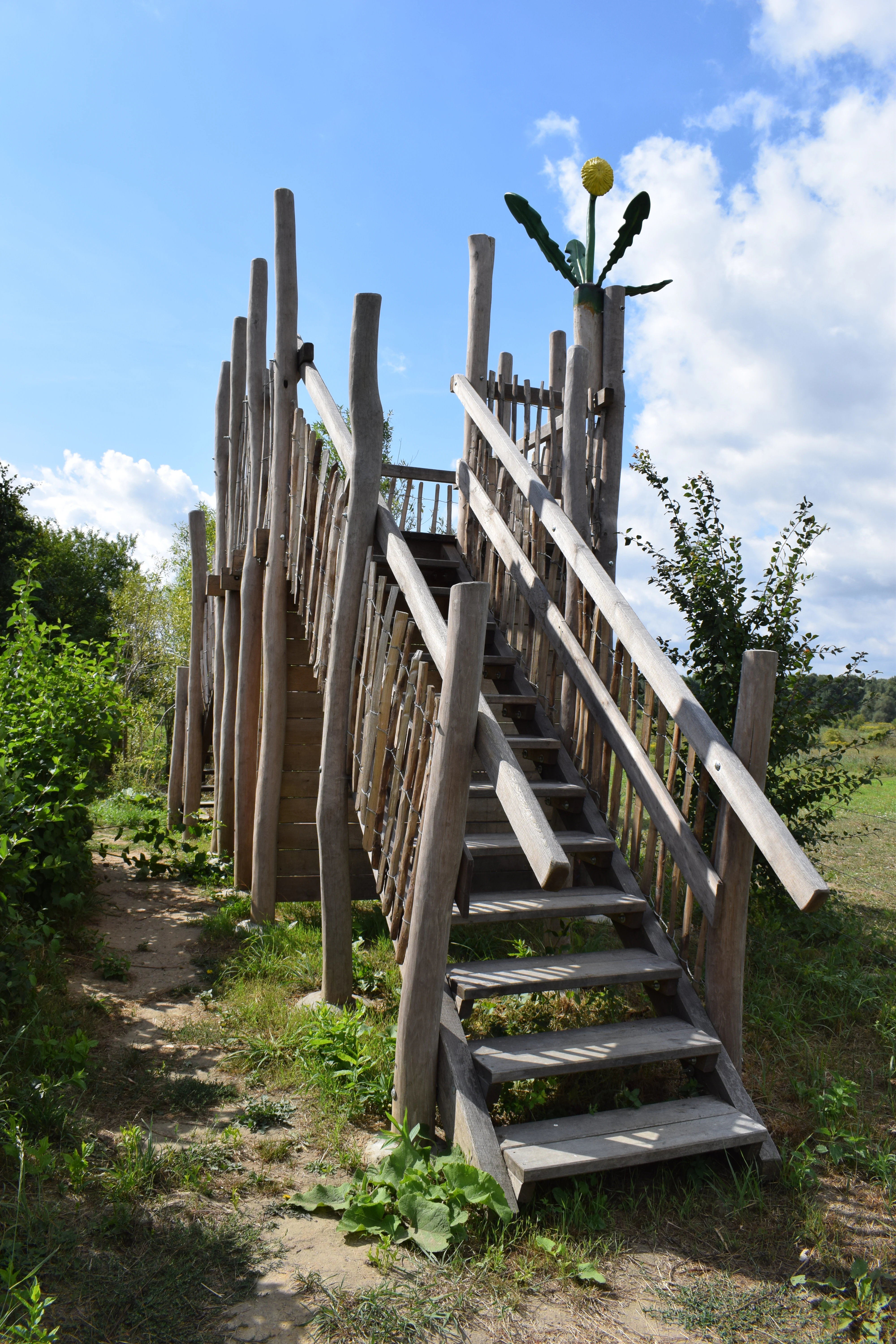 A rustic wooden staircase and raised observation deck made of unpeeled logs, situated in a green nature reserve with a small yellow decorative flower feature at the top.