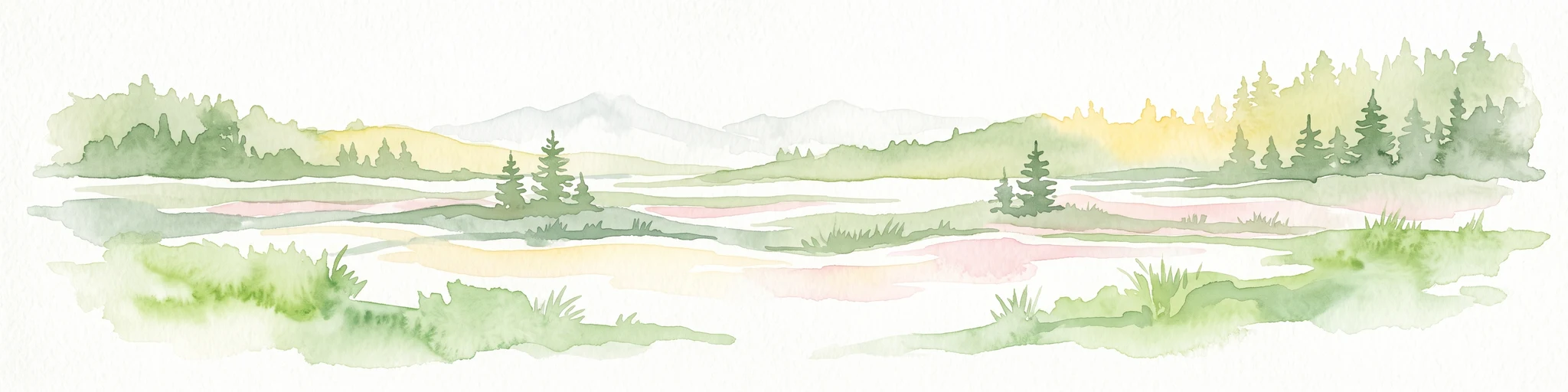 A horizontal watercolor illustration depicting a soft, atmospheric landscape with marshy ground, scattered evergreen trees, and distant hills.