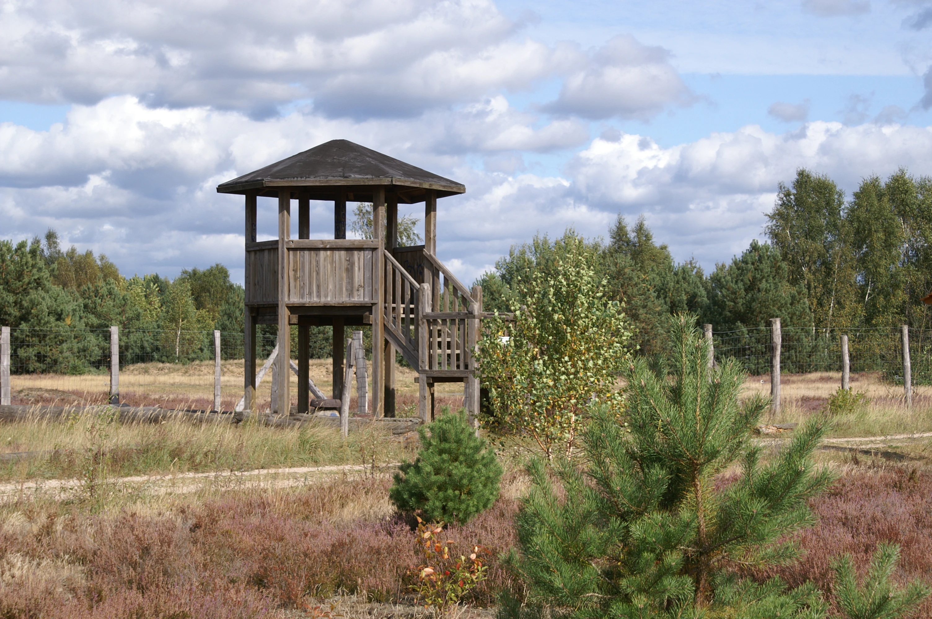 A wooden observation tower stands in an open, grassy landscape with scattered small trees and a wooden fence, under a cloudy sky.