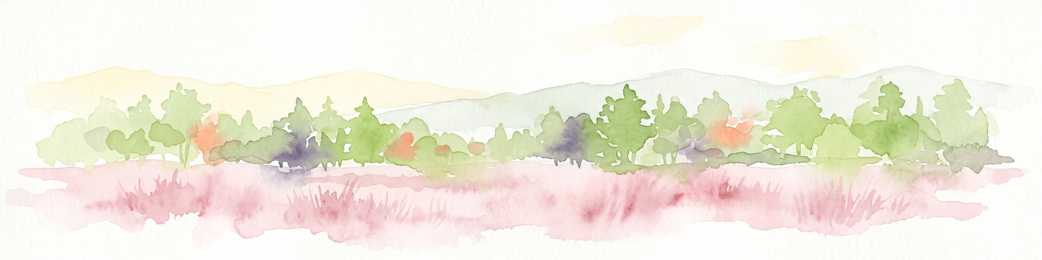 A horizontal watercolor illustration showing a pinkish-purple foreground of heathland vegetation transitioning into a line of light green trees against a pale, washed-out hilly background.