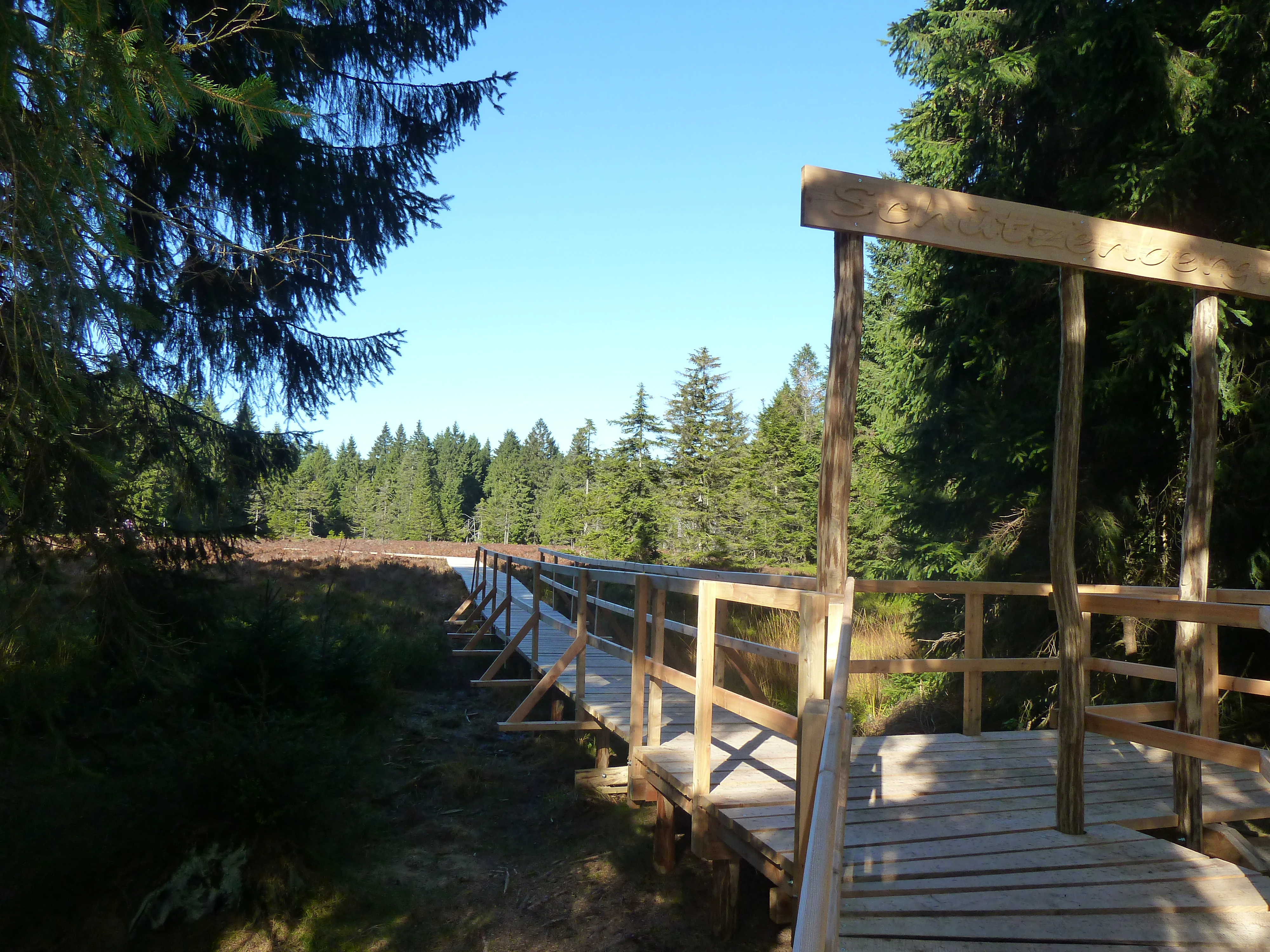 A wooden boardwalk trail with railings extends into a marshy, forested nature reserve under a clear blue sky.