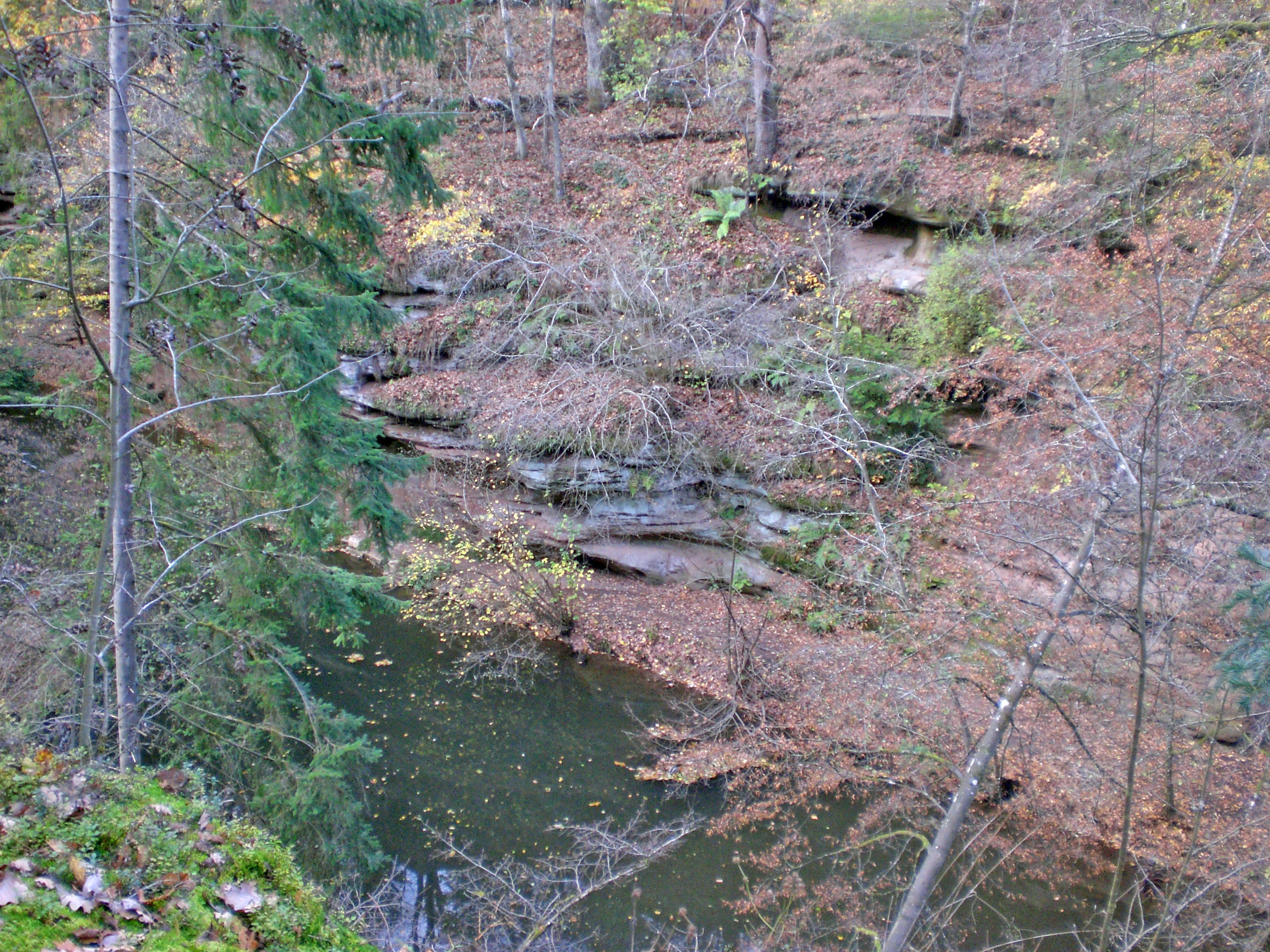 A small river flows through a dense forest with exposed sandstone rock formations on the bank in the Schwarzachschlucht nature reserve.
