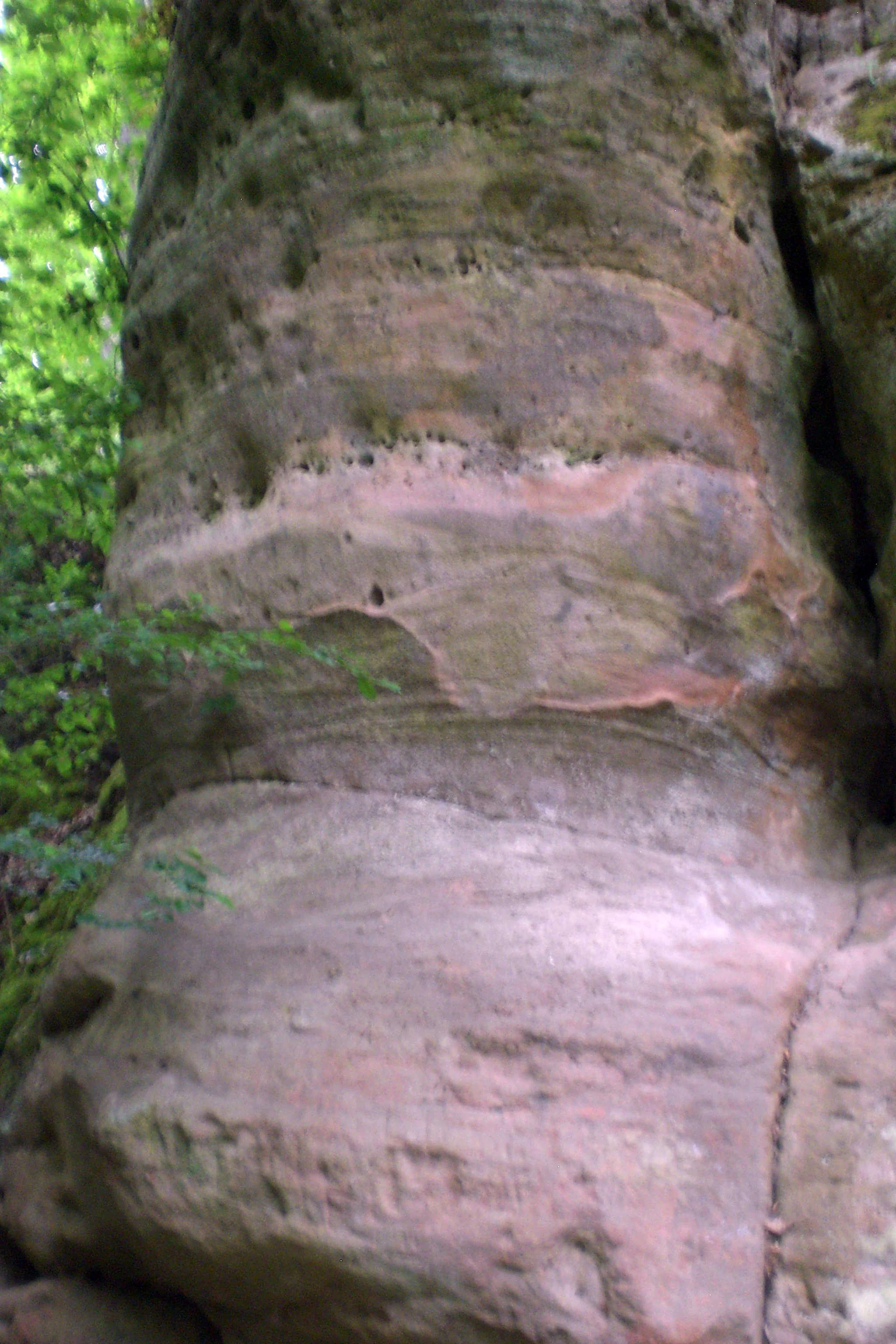A close-up, vertical shot of textured, layered sandstone rock formations in a natural forest setting, with lush green foliage visible on the left.