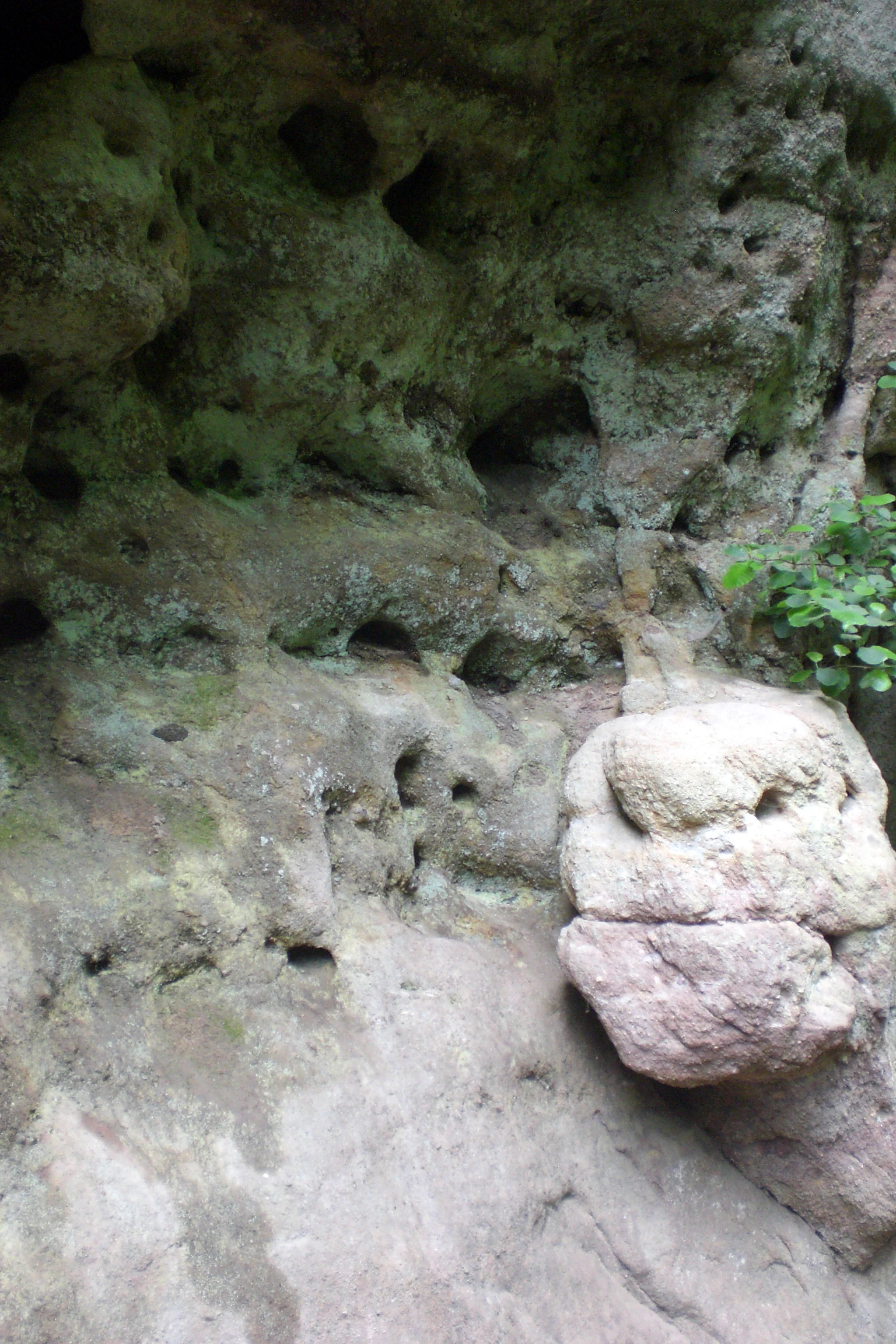 Close up view of porous sandstone rock formations showing cavities and moss growth in Schwarzach Gorge.