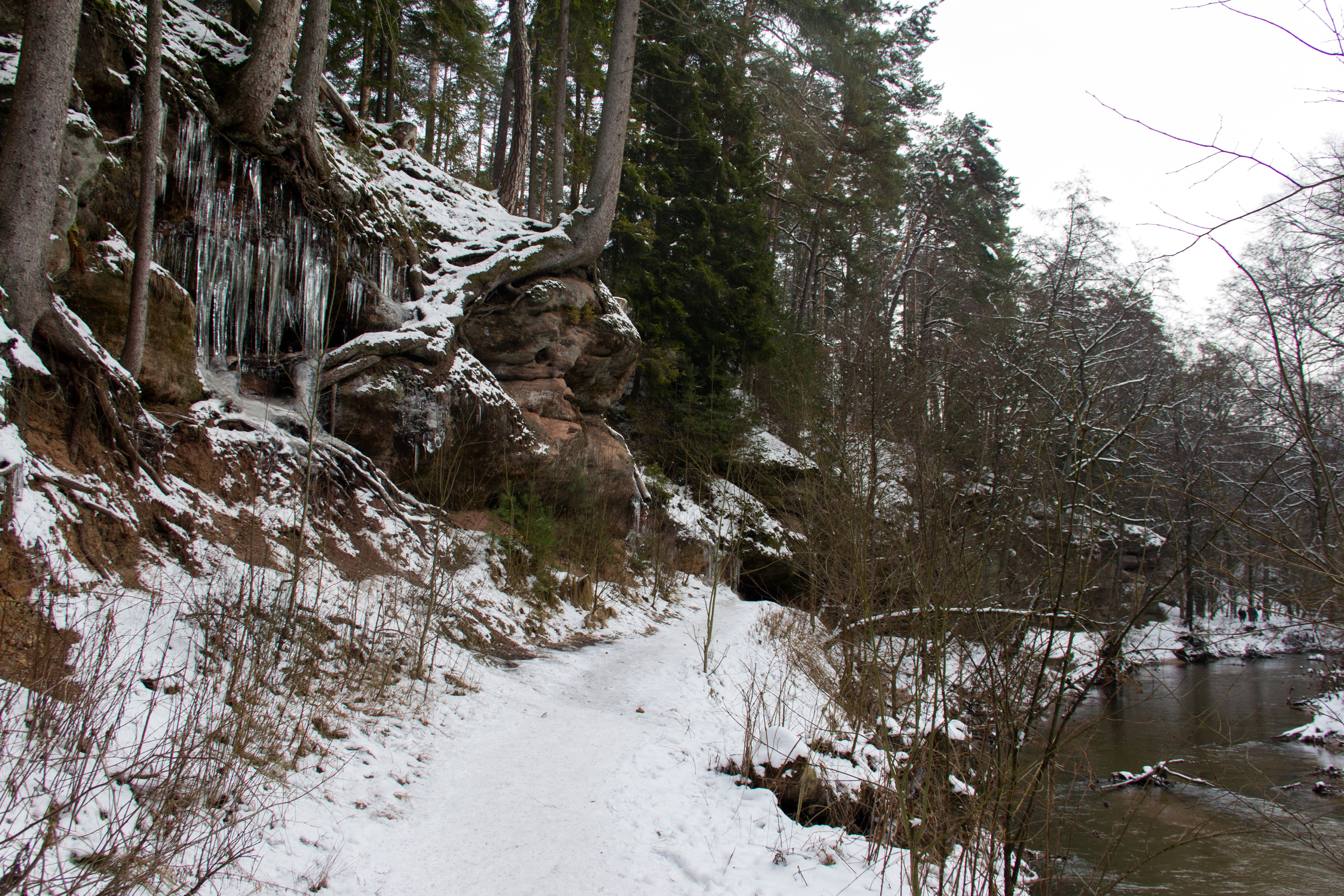A snow-covered hiking trail runs alongside a river in the Schwarzachschlucht gorge, featuring large sandstone rock faces covered in icicles and a surrounding forest.