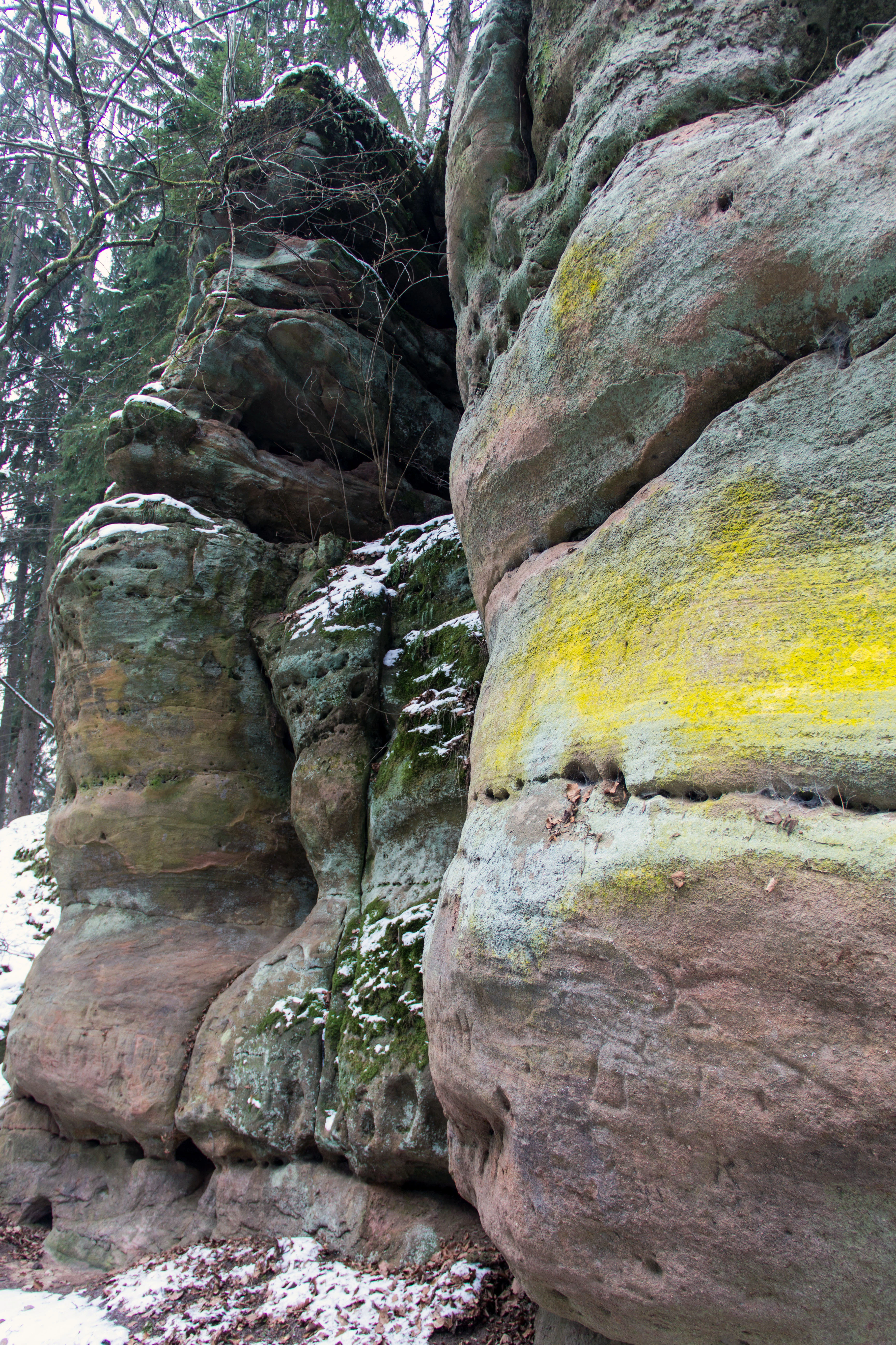 Close-up view of towering, weathered sandstone rock faces with patches of snow, moss, and yellow lichen, set against a backdrop of leafless trees.