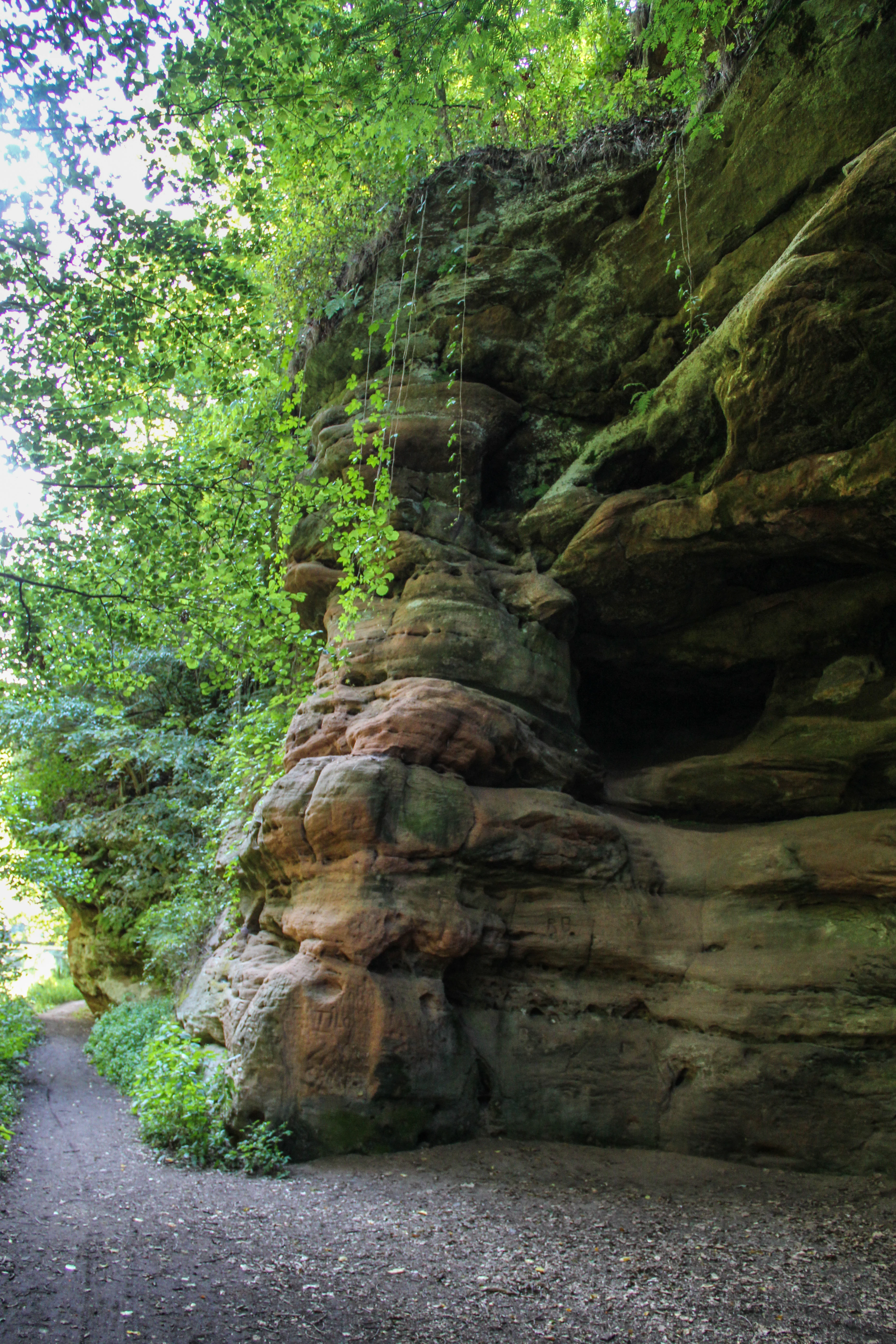 A dirt hiking trail runs along the base of a towering, layered sandstone cliff face covered in moss and overhanging green foliage in a forest setting.