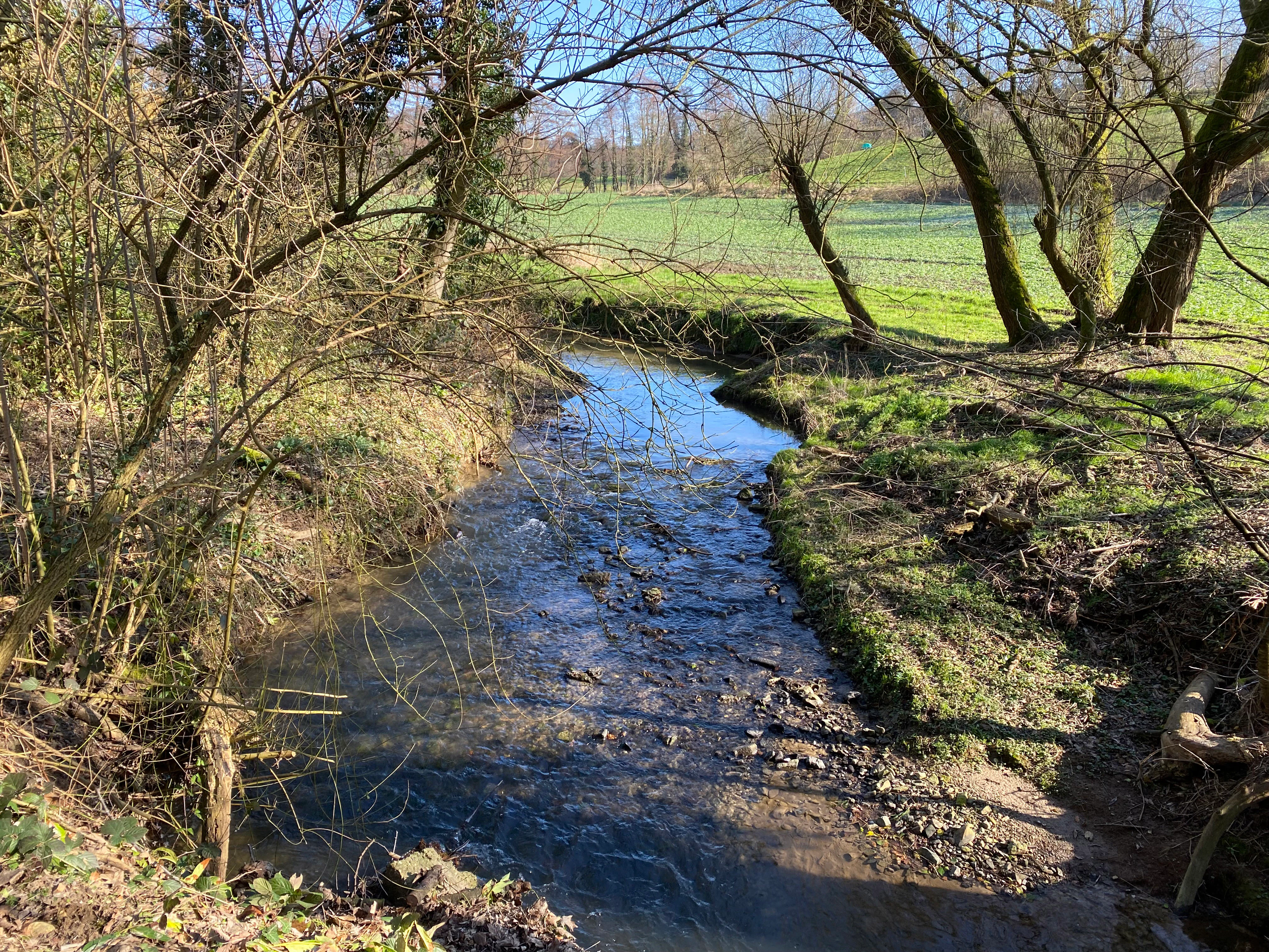 A small creek winds through a valley with grassy banks and bare trees in early spring.