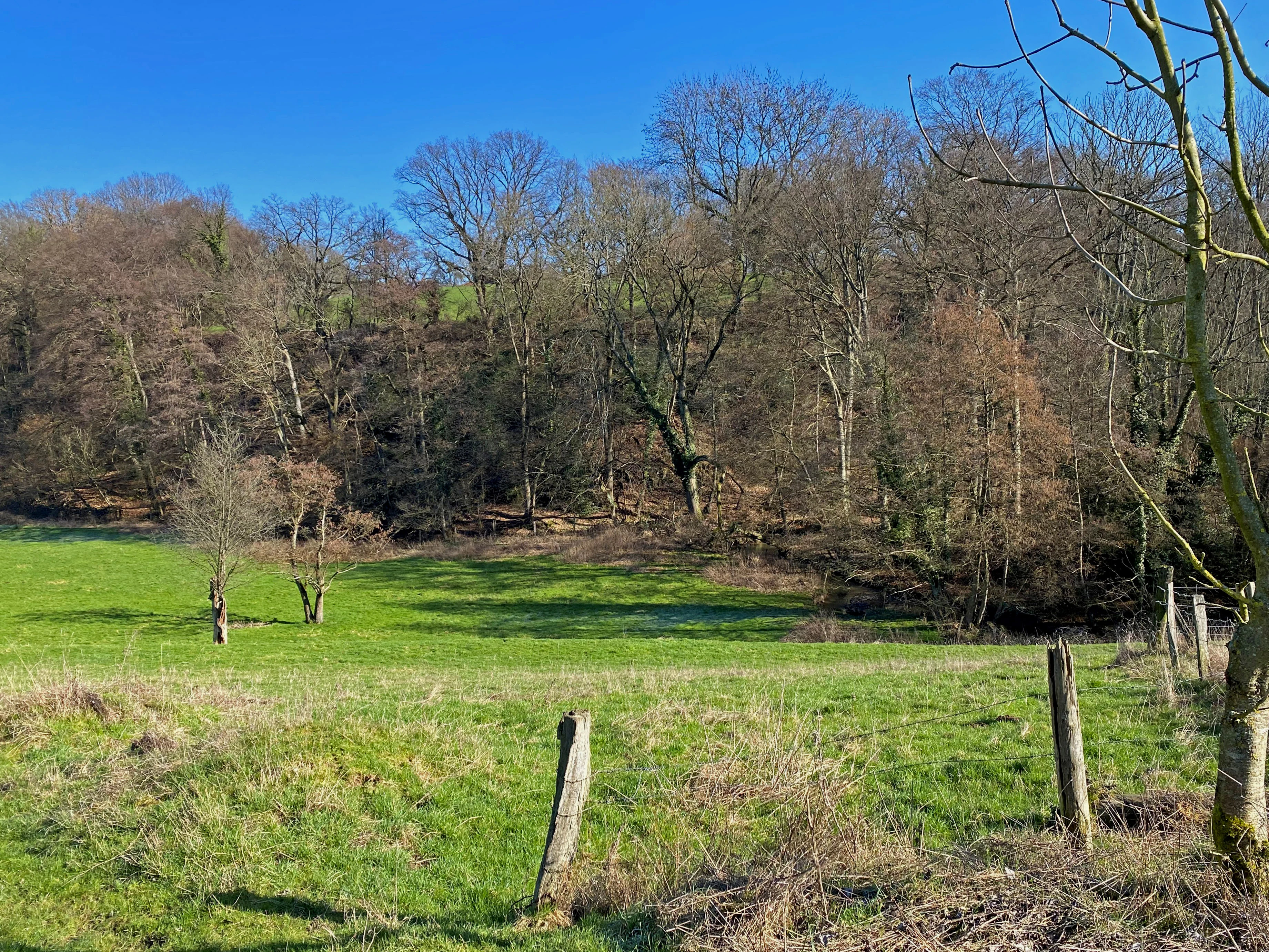 A green pasture framed by wooden fence posts in the foreground, leading to a dense deciduous forest at the base of a hill under a clear blue sky.