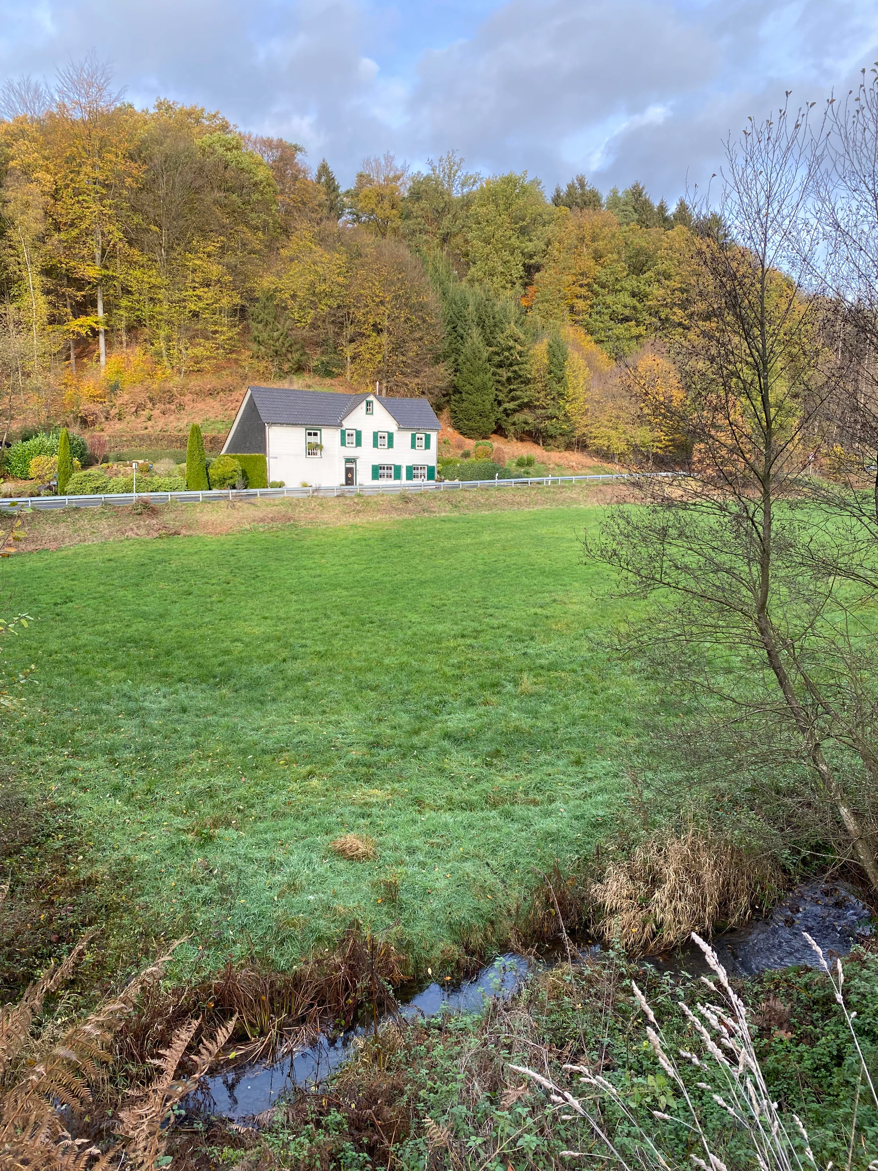 Una casa blanca de dos plantas con contraventanas oscuras se encuentra entre un prado verde en primer plano y una ladera boscosa al fondo, con un pequeño arroyo que fluye por la esquina inferior derecha.
