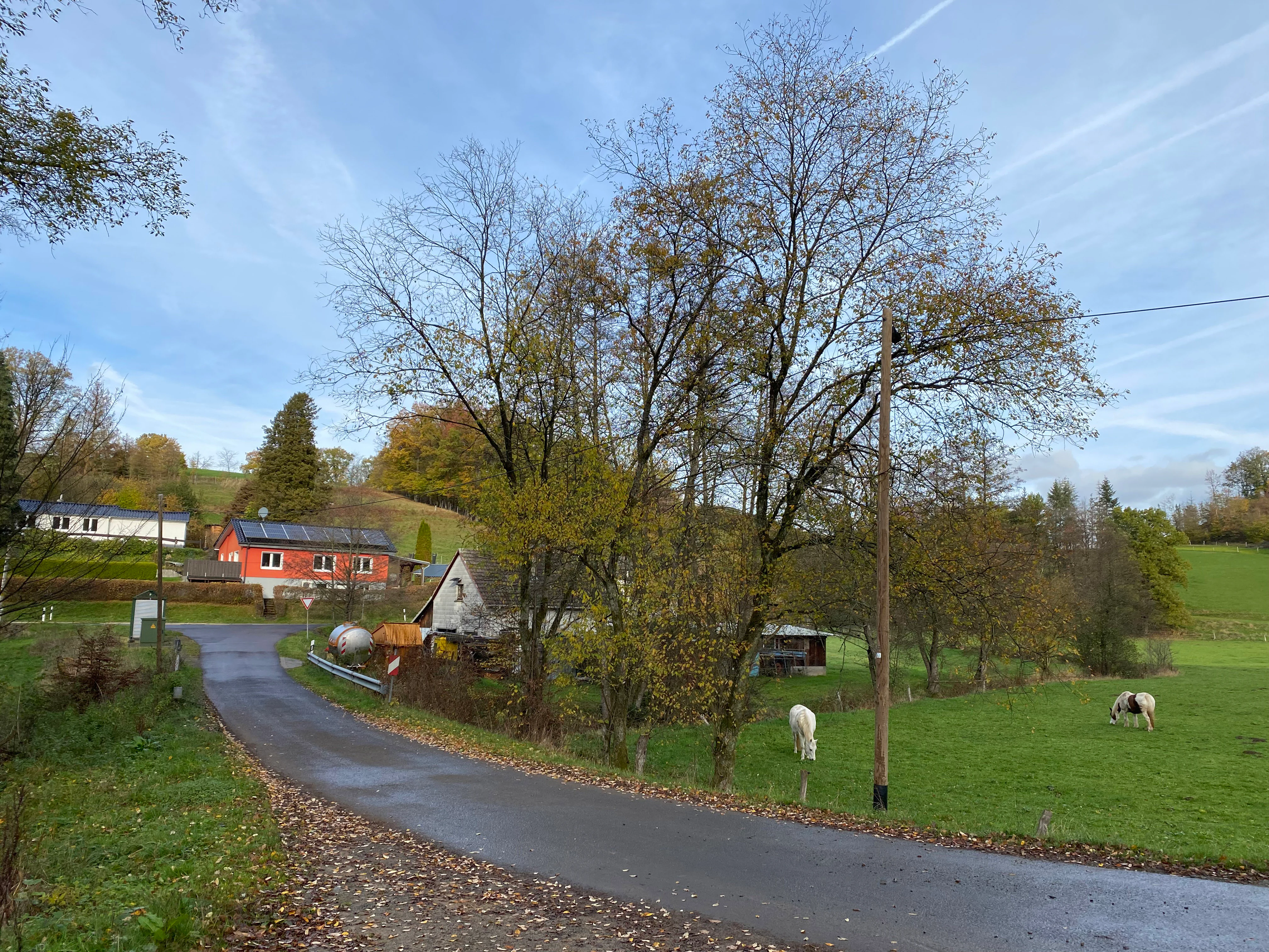 Una carretera rural pavimentada que pasa junto a un prado verde con caballos pastando, hacia un grupo de casas rurales y árboles al fondo.