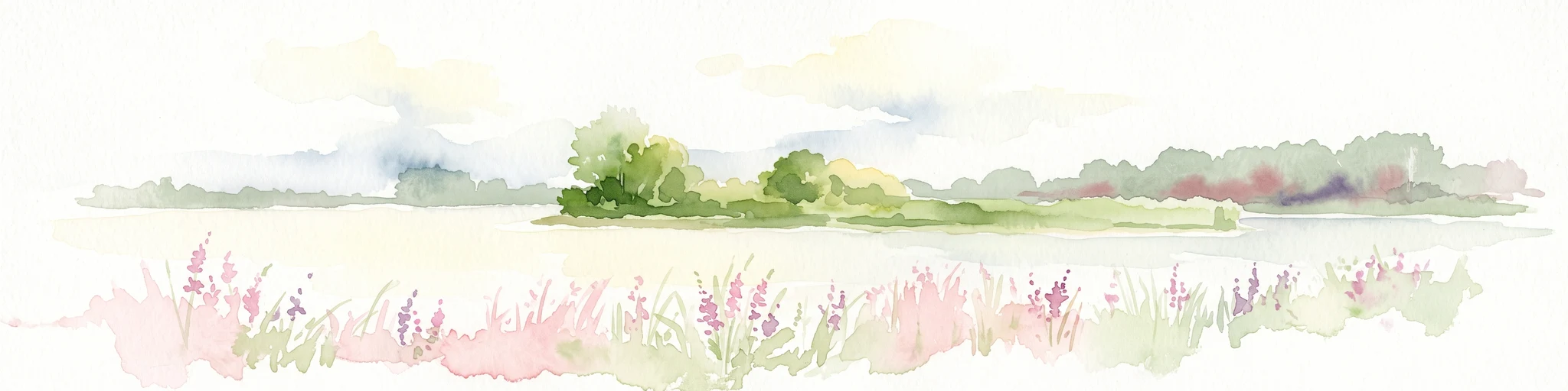 A watercolor painting showing a panoramic view of a calm river with a small, vegetated island in the center and pink wildflowers in the foreground.