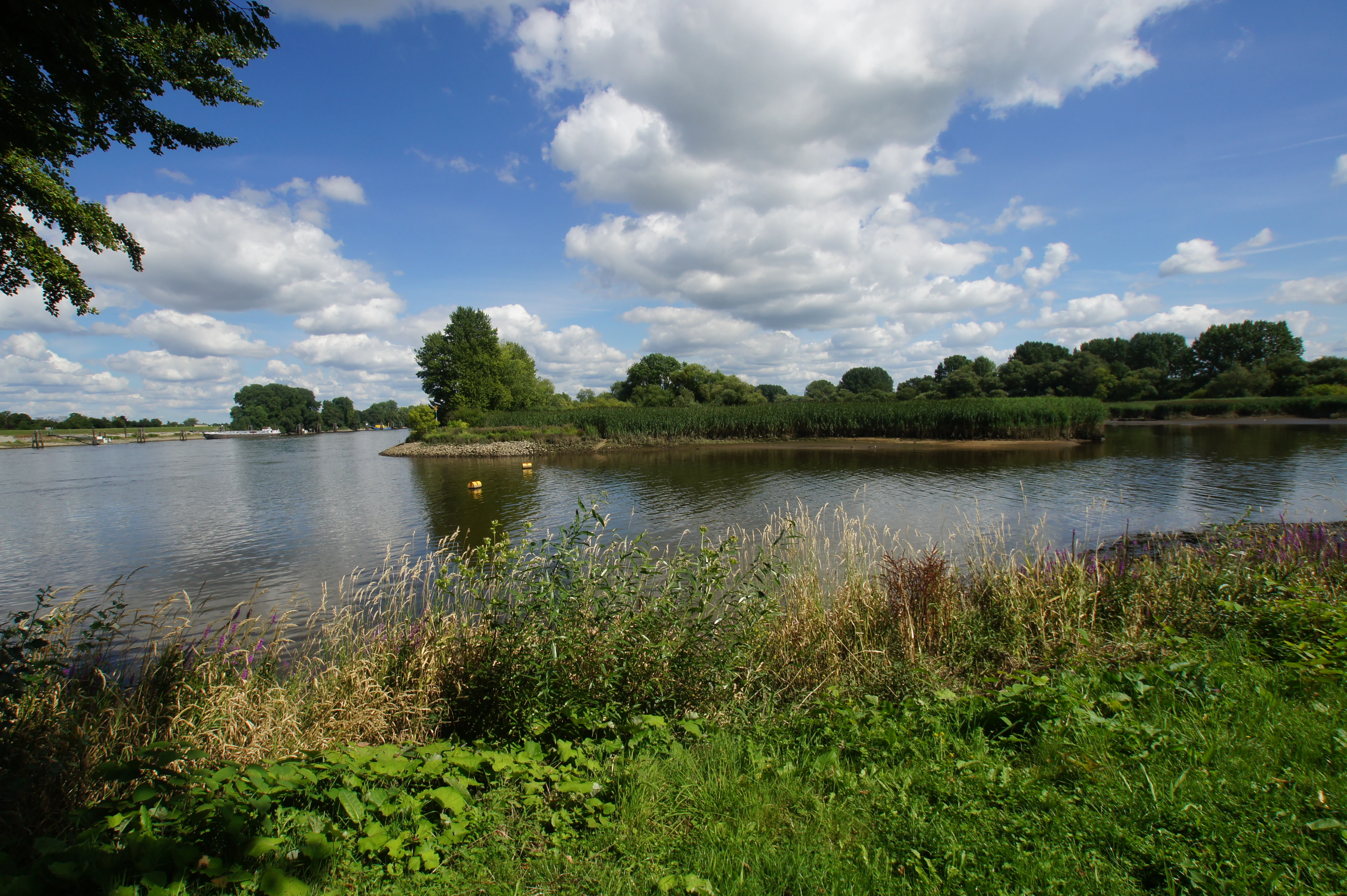 A wide view of a calm river or tidal creek surrounded by green banks, trees, and tall reeds under a blue sky with scattered clouds.