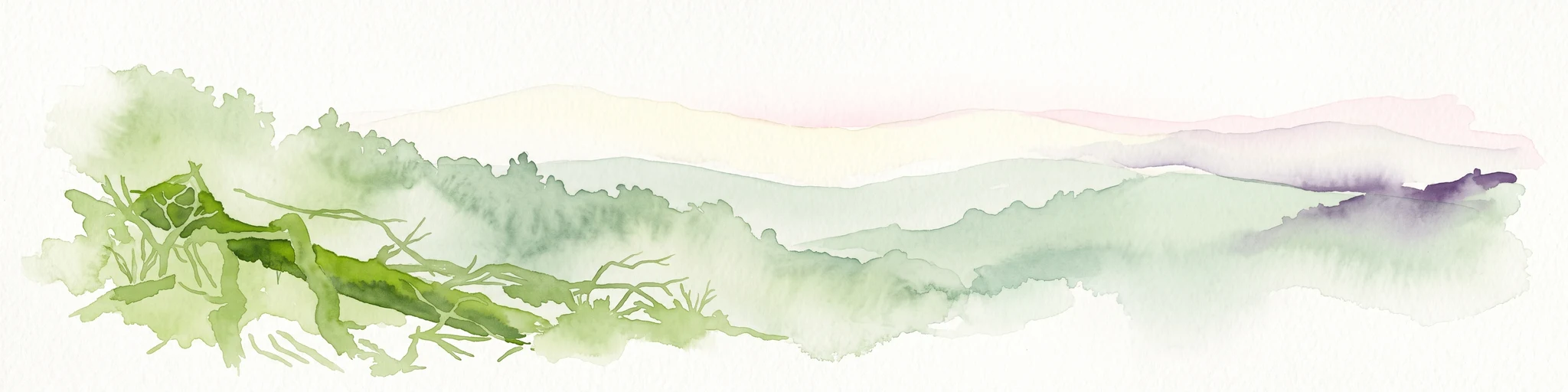 A soft watercolor illustration showing a hazy, green-toned landscape with a grassy or forested foreground and gently rolling hills in the background.