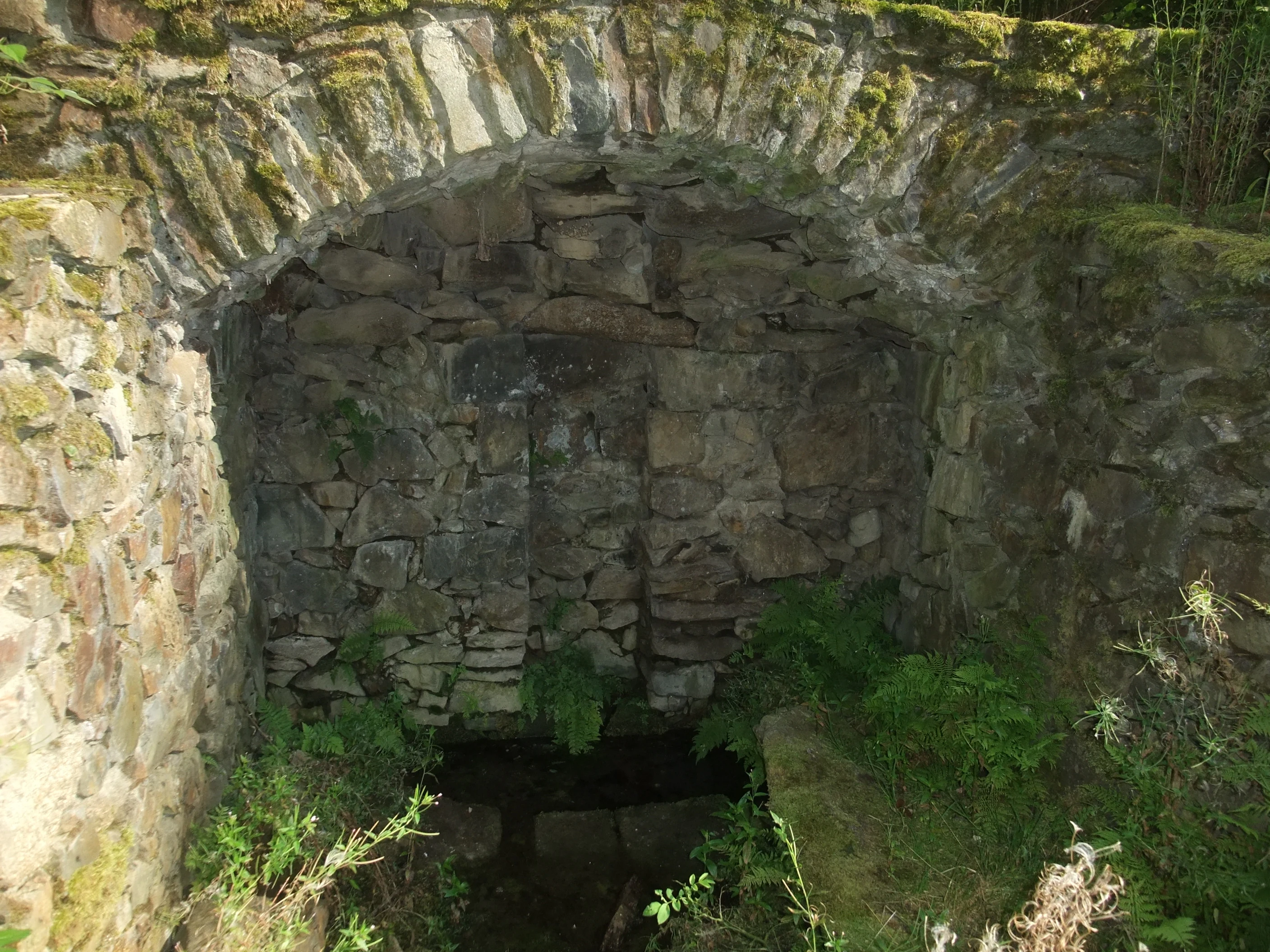 A close up shot of a stone well or grotto structure built into a hillside, featuring an arched ceiling made of natural stone, surrounded by green ferns and mossy rocks.
