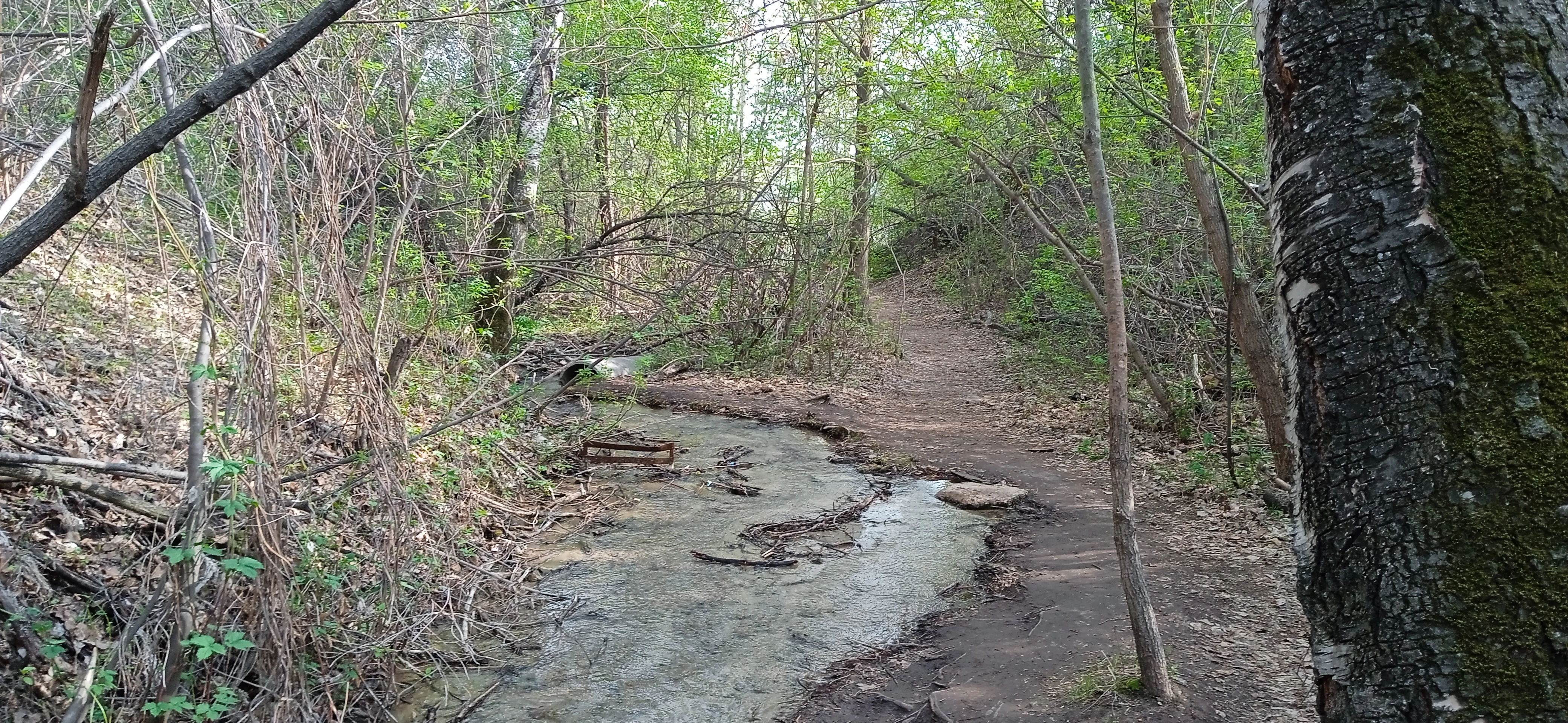 Holy Spring, Semey