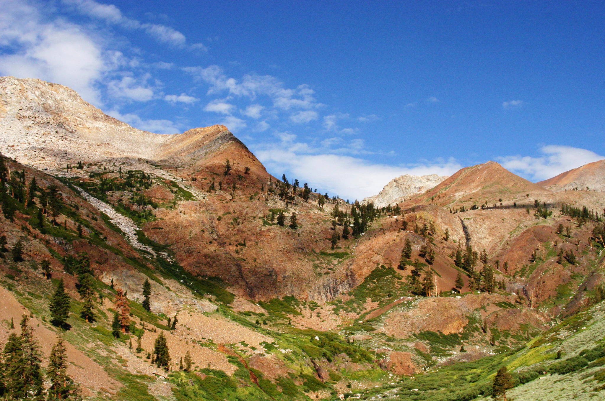 A wide, bright landscape view of a rocky mountain slope with sparse pine trees under a clear blue sky, likely near Farewell Gap.