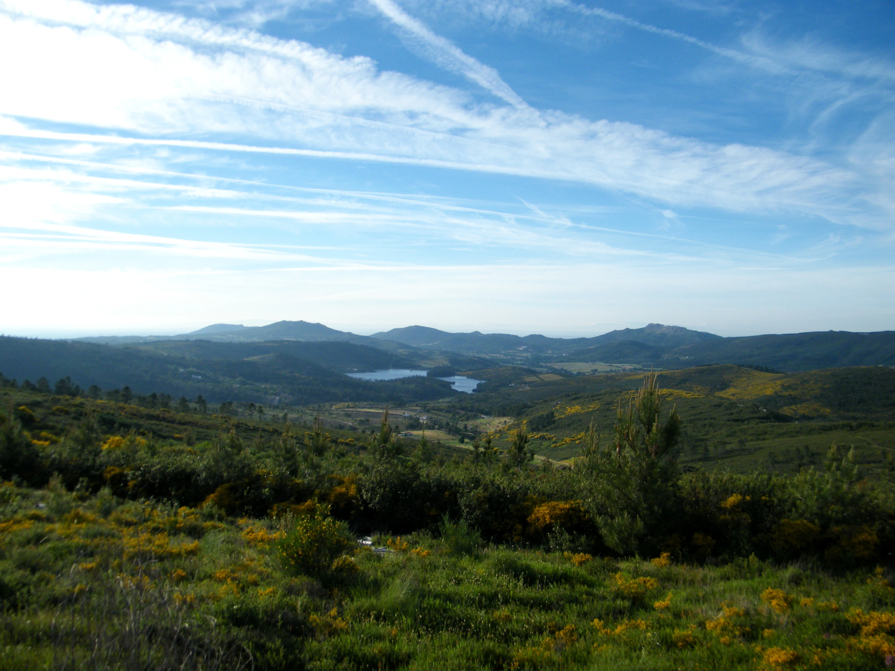 Landscape view of Serra de São Mamede Natural Park with rolling hills, a lake in the distance, and green vegetation with yellow flowers under a blue sky with scattered clouds