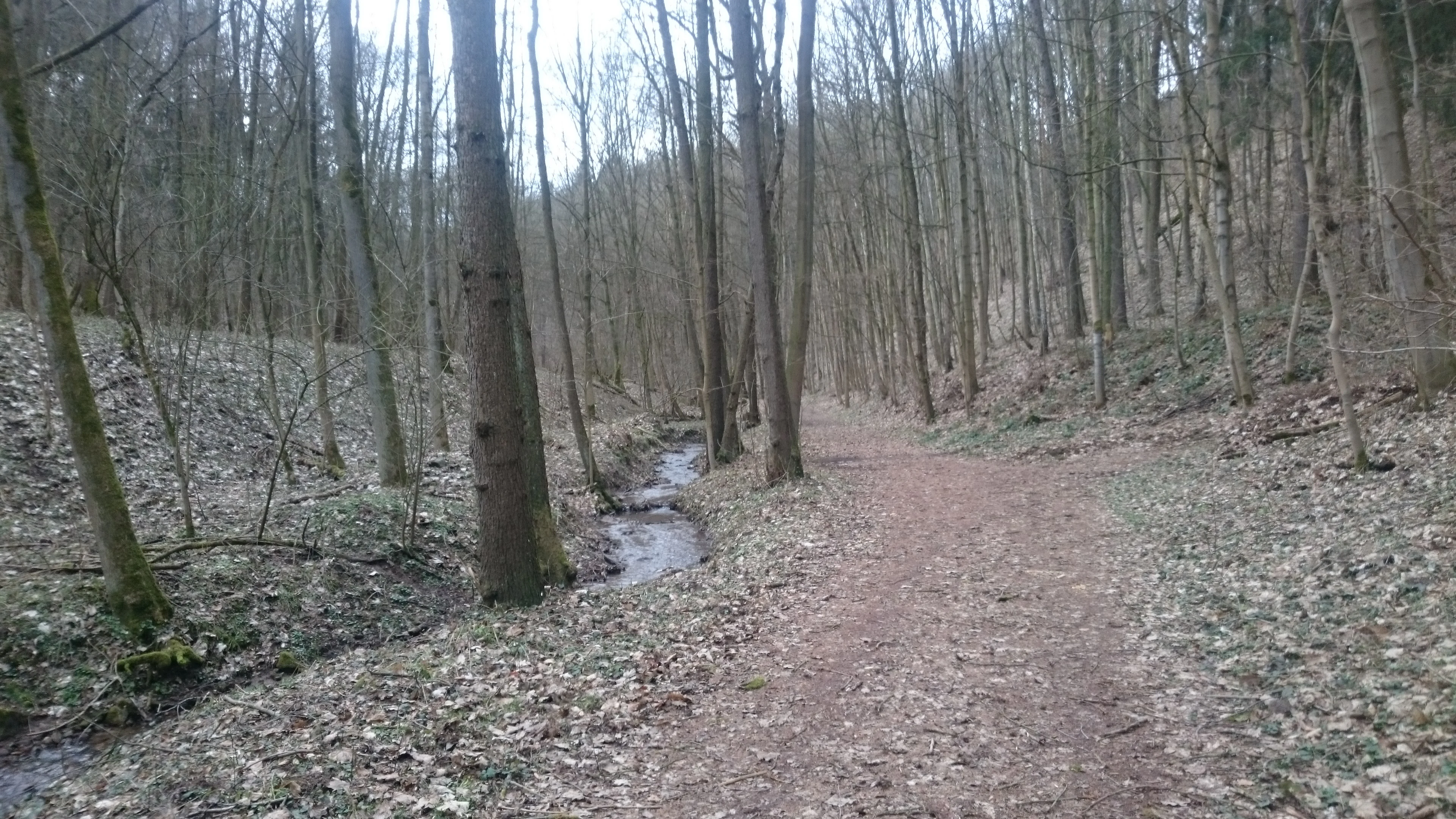A dirt hiking path running alongside a narrow stream through a deciduous forest with sparse spring foliage.