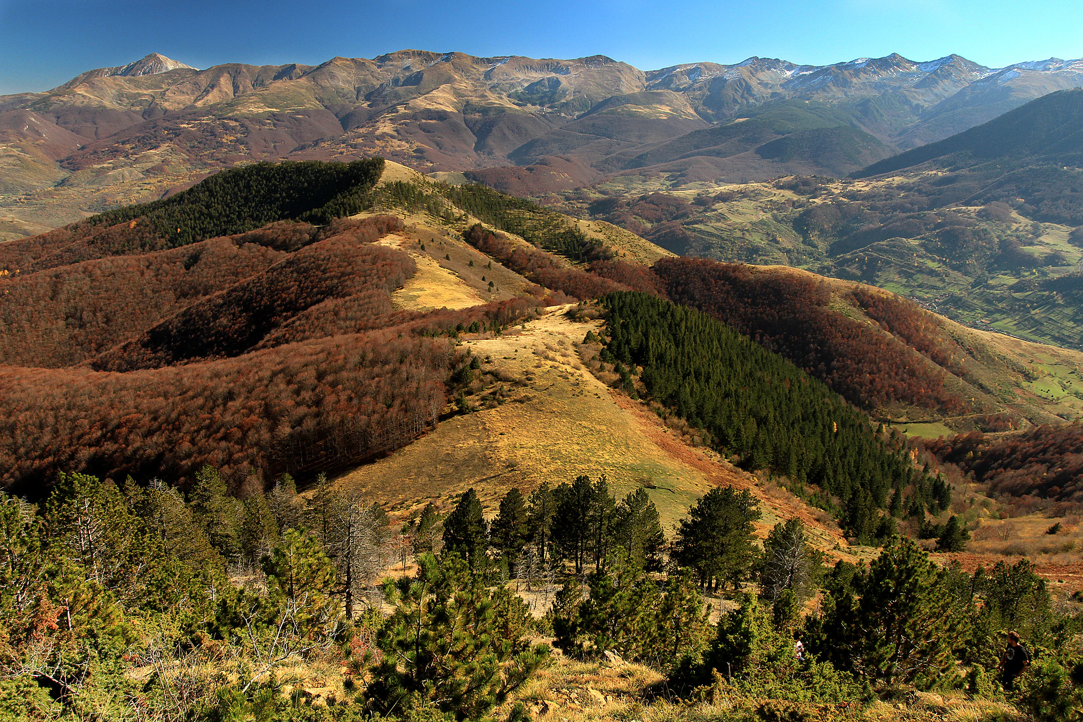 Wide landscape of mountain ridges, forests, and valleys under a clear blue sky in Sharr Mountains National Park.