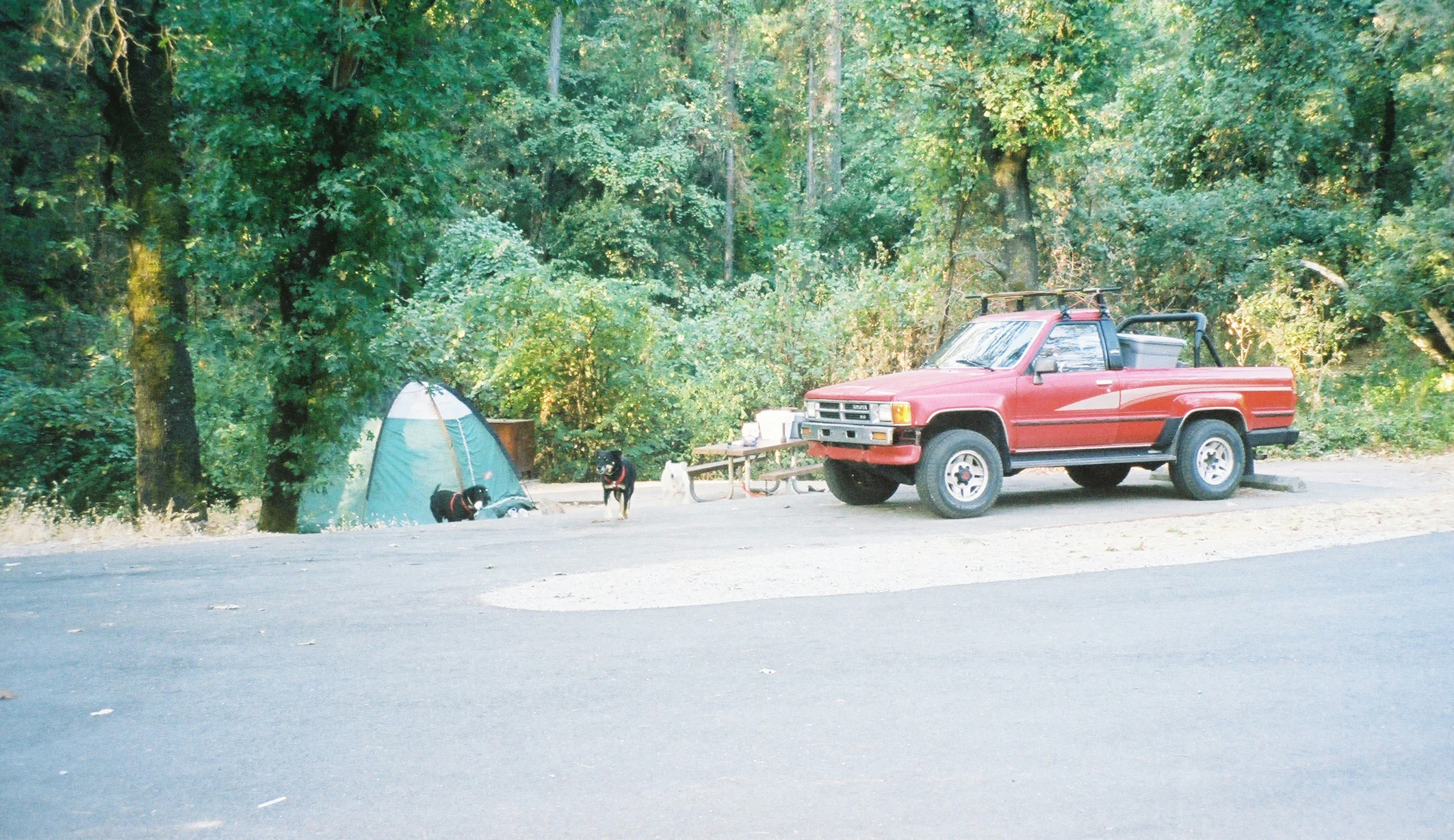 A red pickup truck is parked at a paved campsite with a green dome tent and a dog nearby in a wooded forest area.