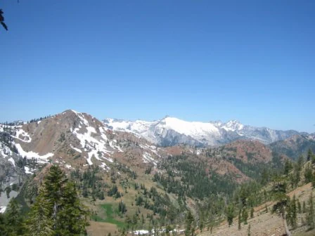A wide mountain landscape featuring snow-capped peaks against a clear blue sky, with forested slopes in the foreground.