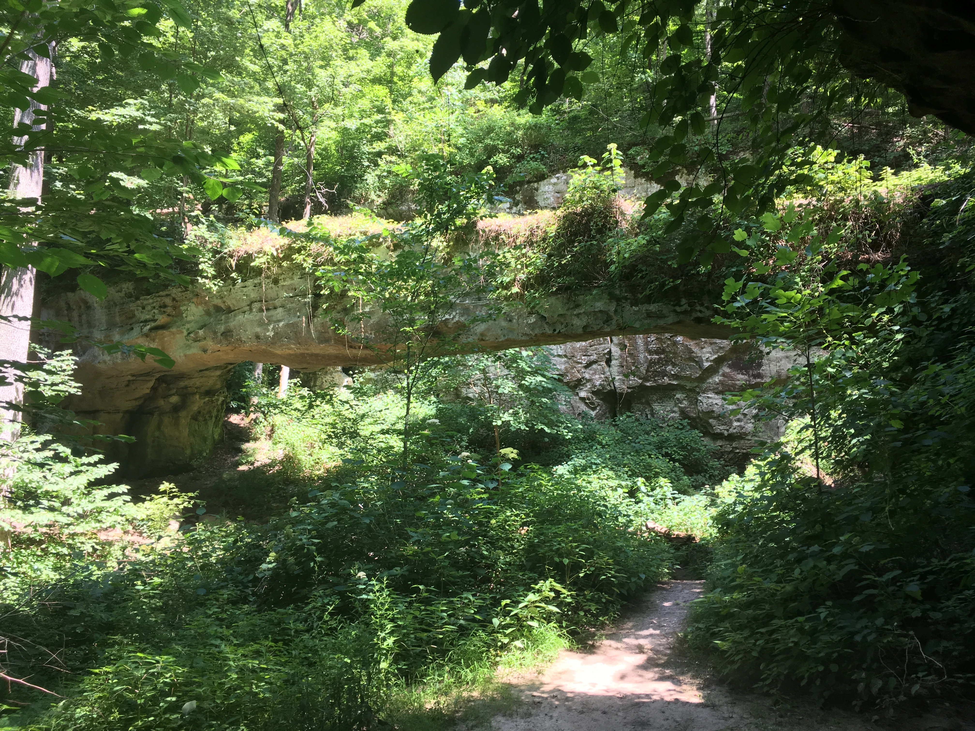 Pomona Natural Bridge