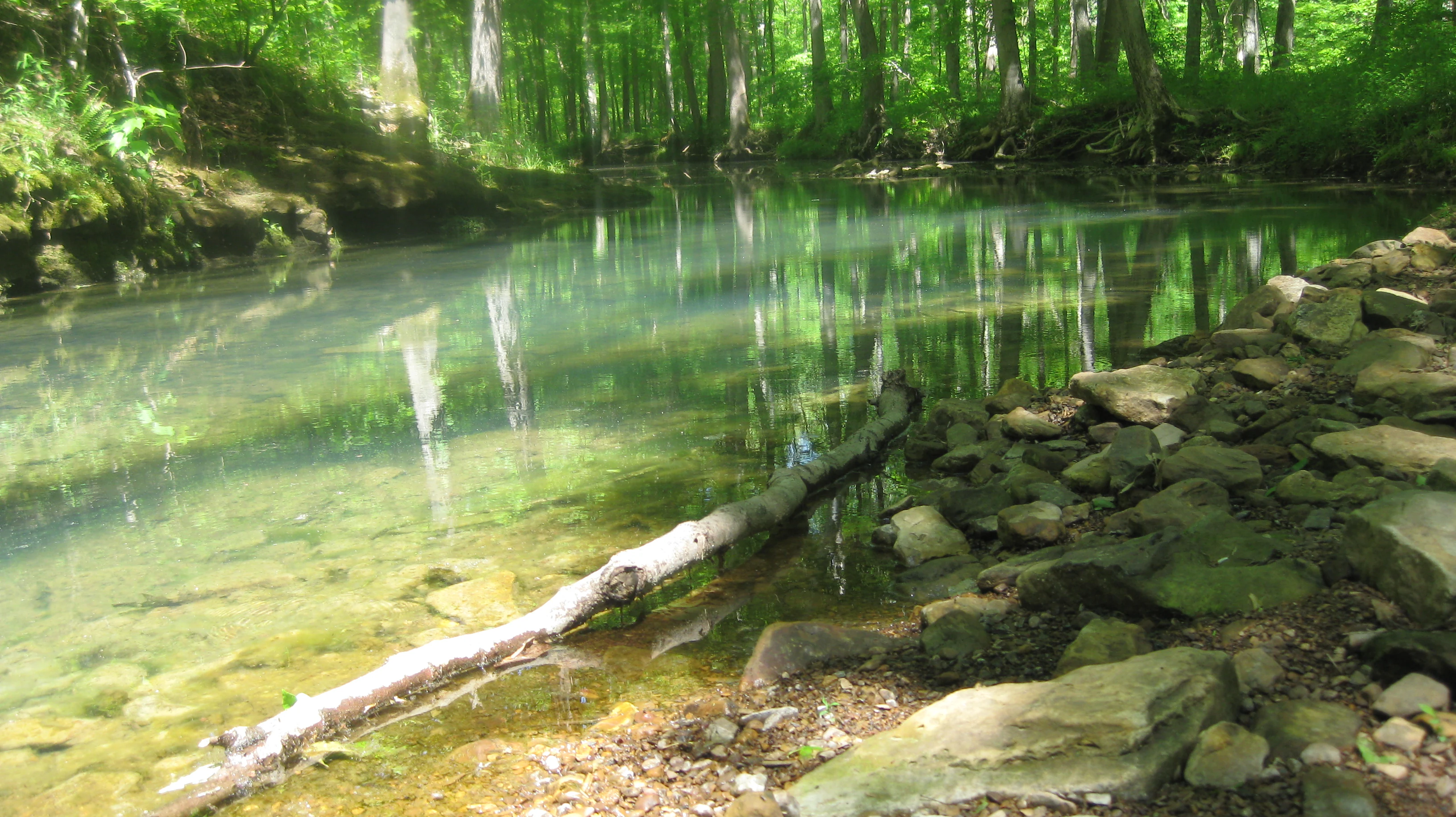 Lick Creek in Panther Den