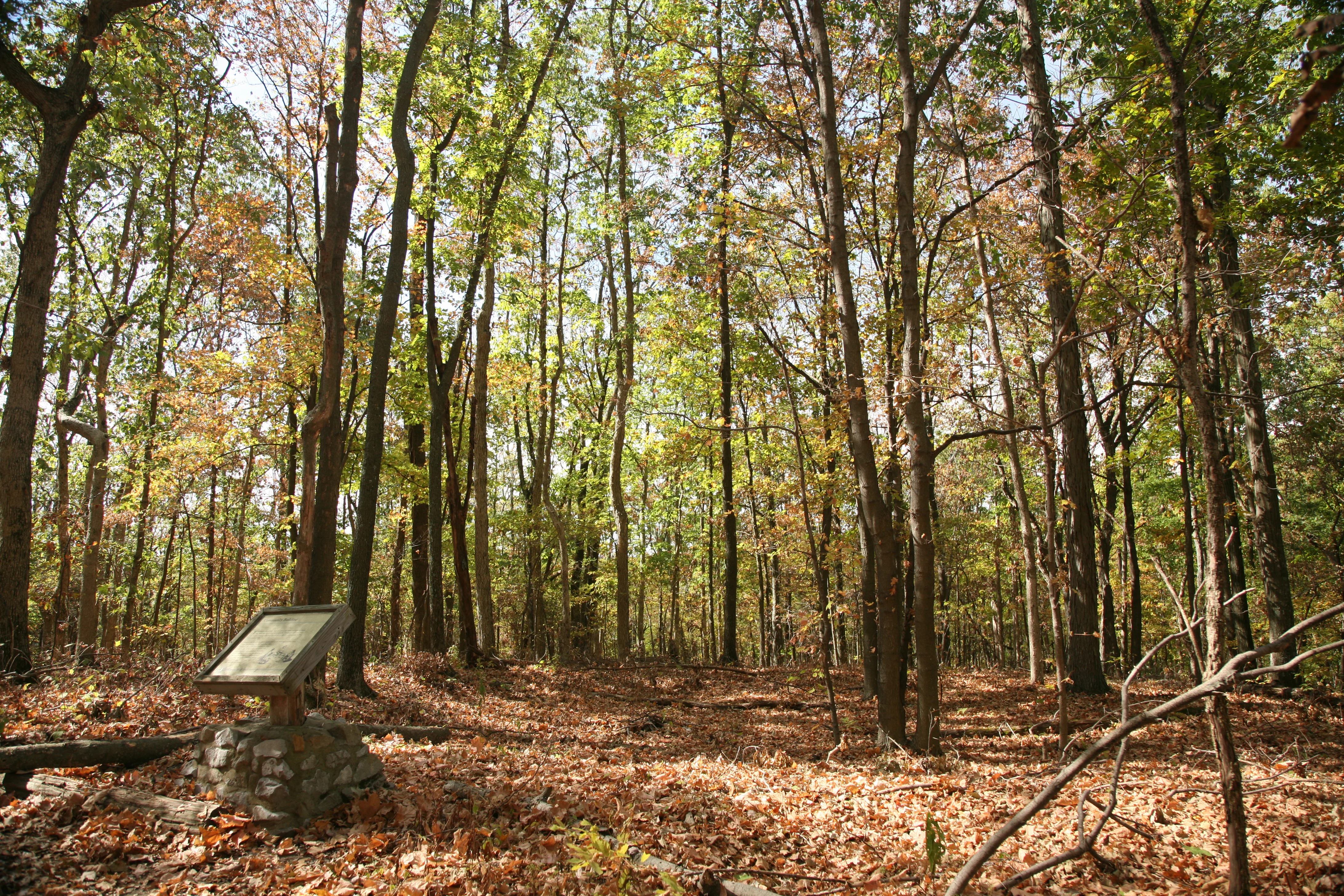 Millstone Bluff
