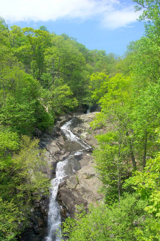 Waterfall cascading over rocky terrain surrounded by dense green forest under a blue sky