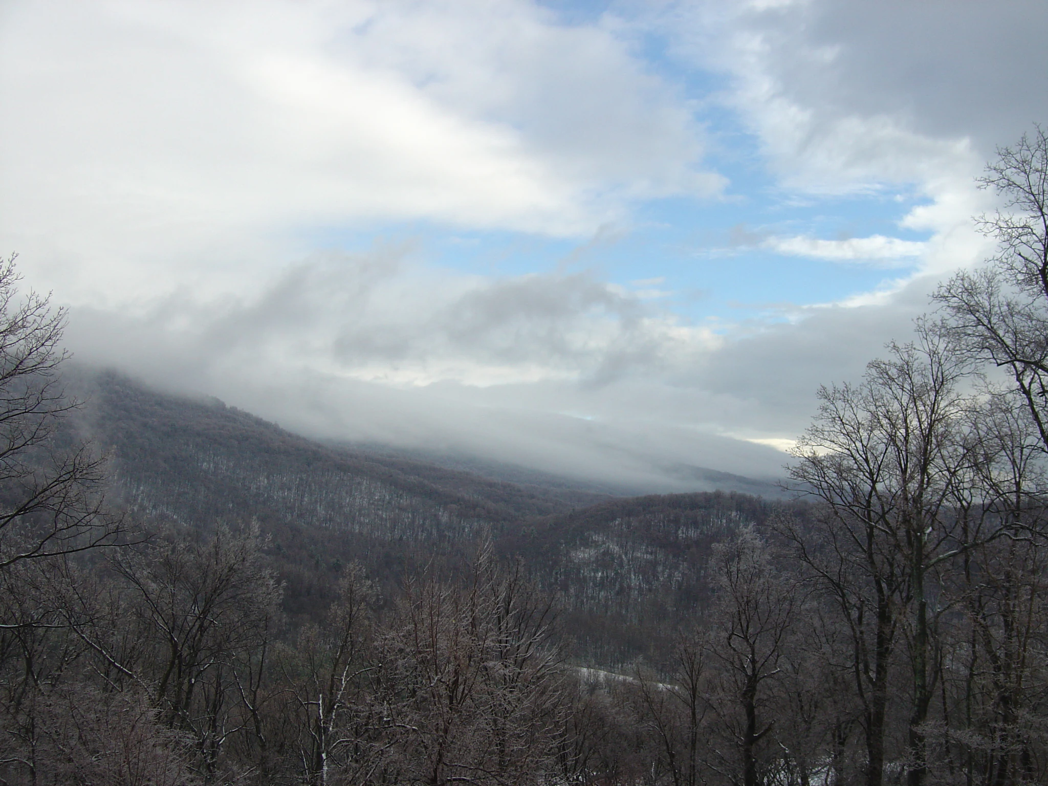 Snow-covered trees and mountains under a cloudy sky with a valley visible in the distance