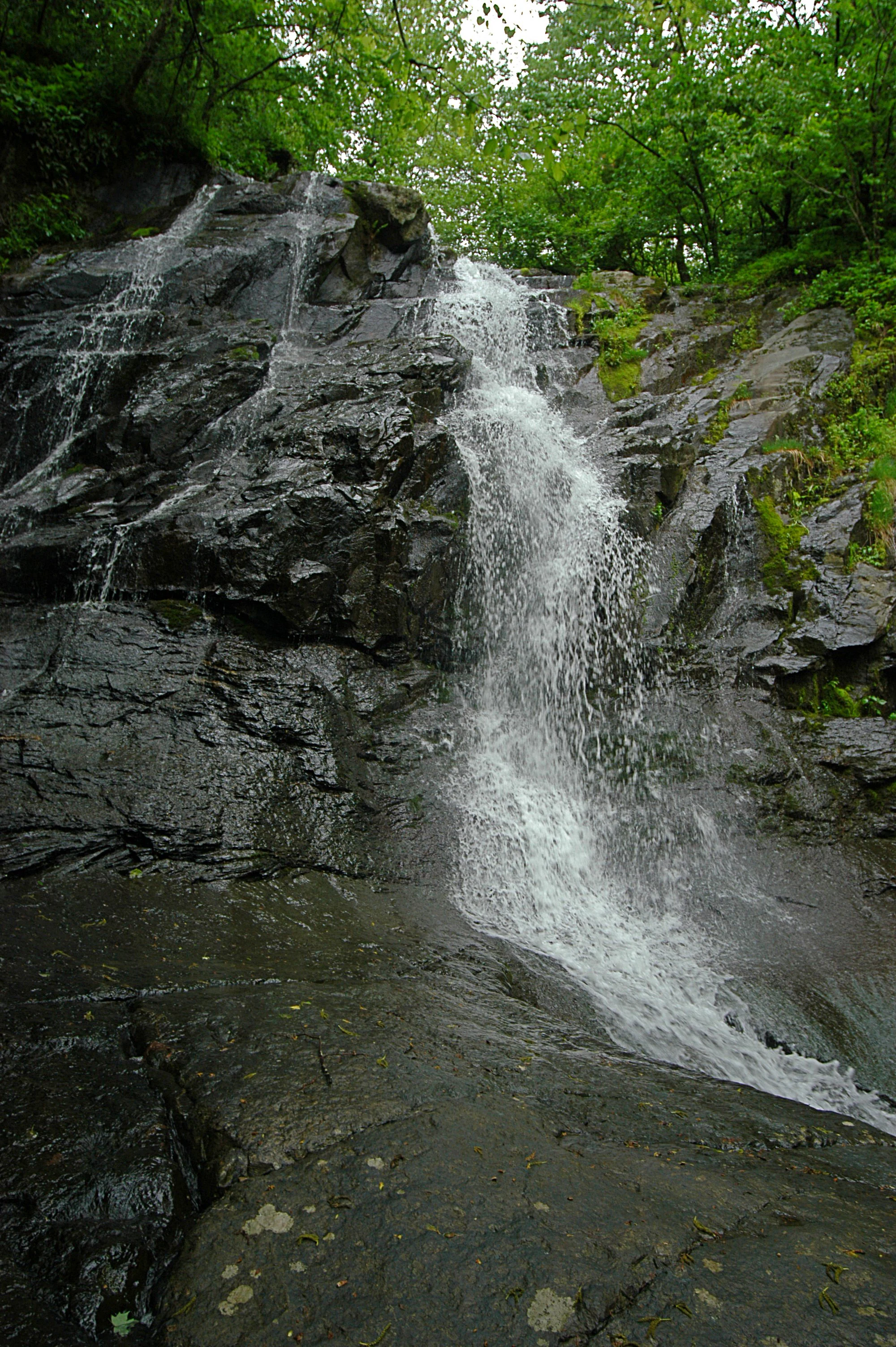 Waterfall flowing over dark rocks with green vegetation in background