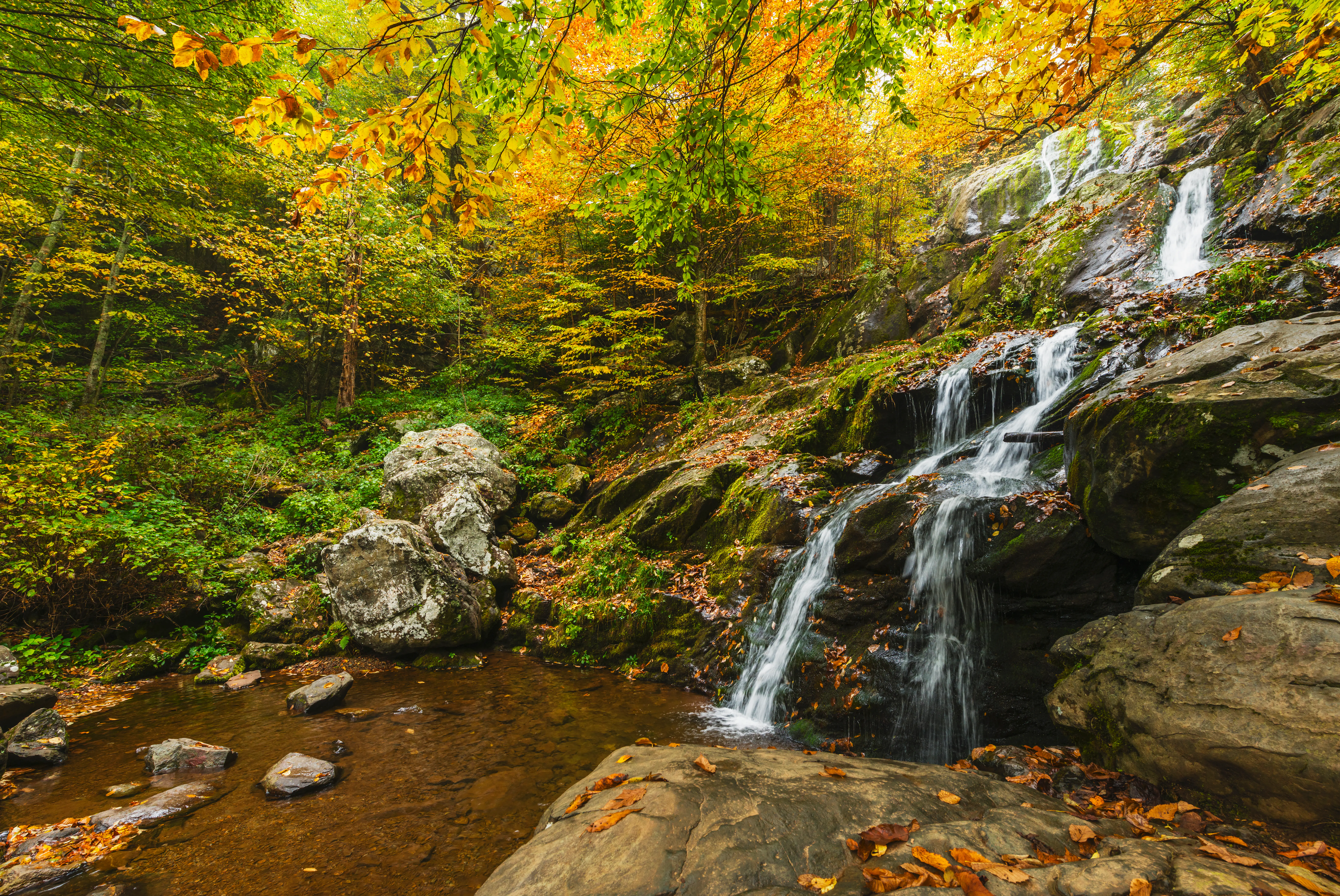 Waterfall cascading over rocks surrounded by autumn-colored trees and fallen leaves