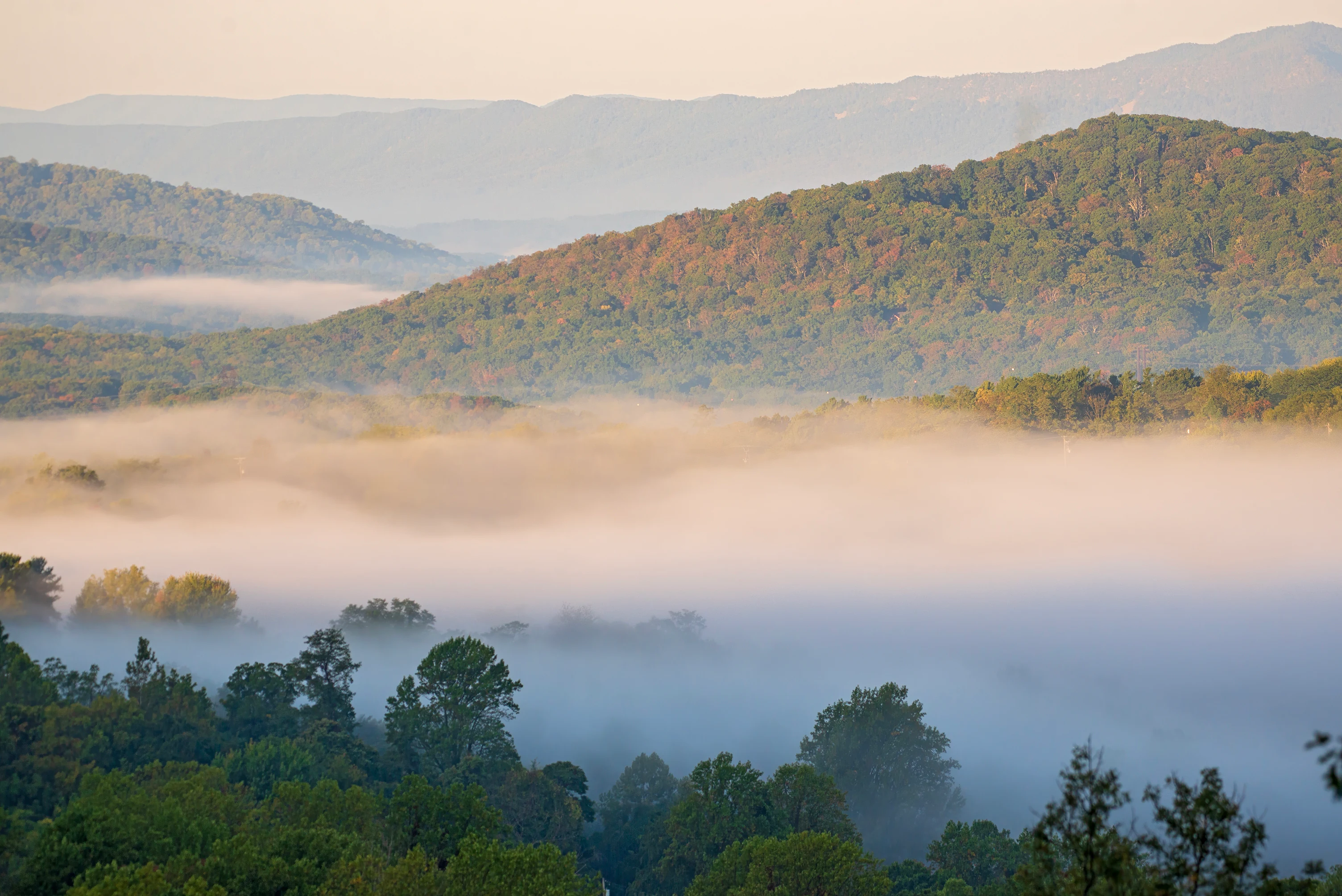 Landscape showing layers of mountains with fog covering valleys and forested hillsides
