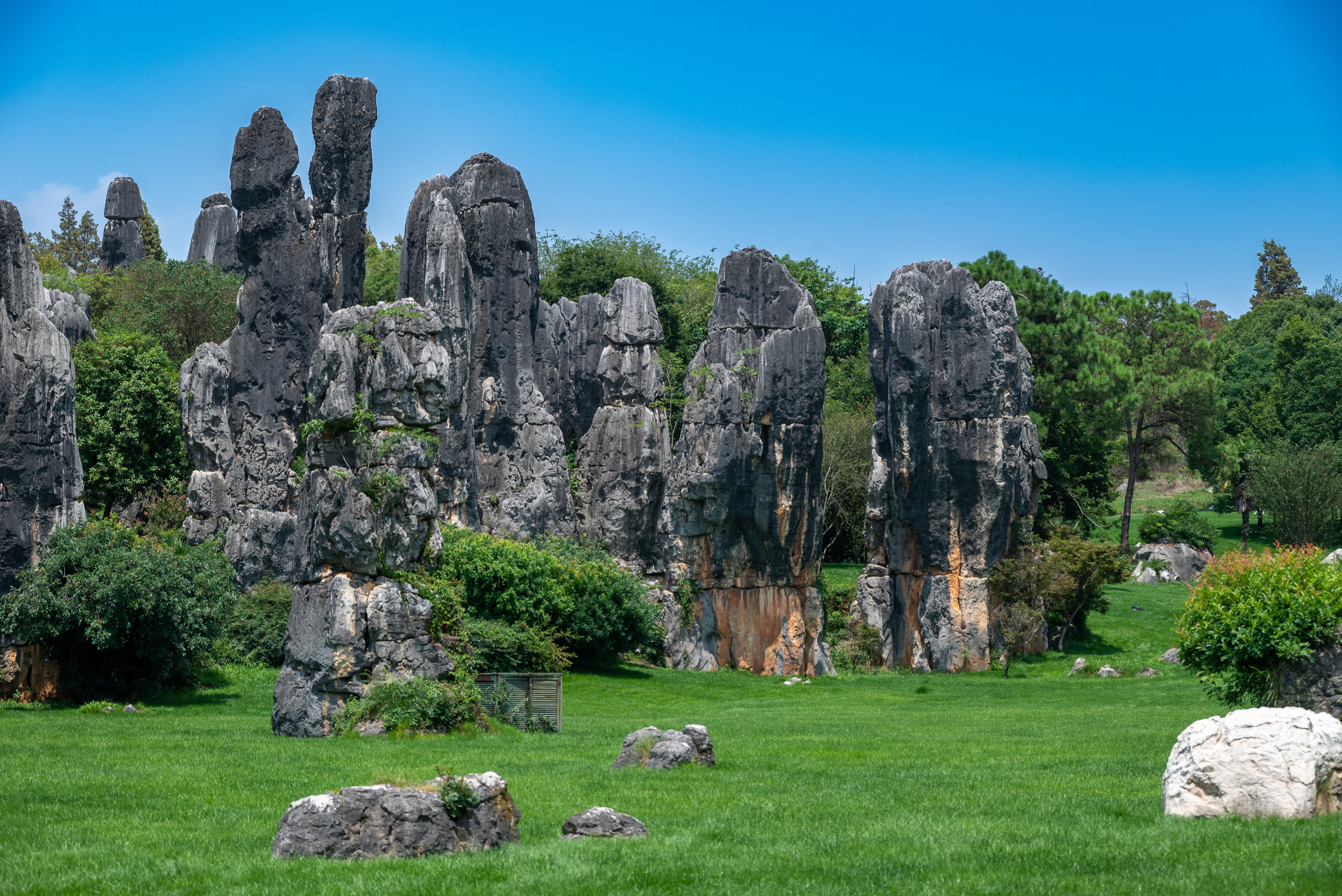 Altos pilares de piedra caliza gris que se elevan sobre un campo de hierba verde con árboles y arbustos dispersos bajo un cielo azul despejado.