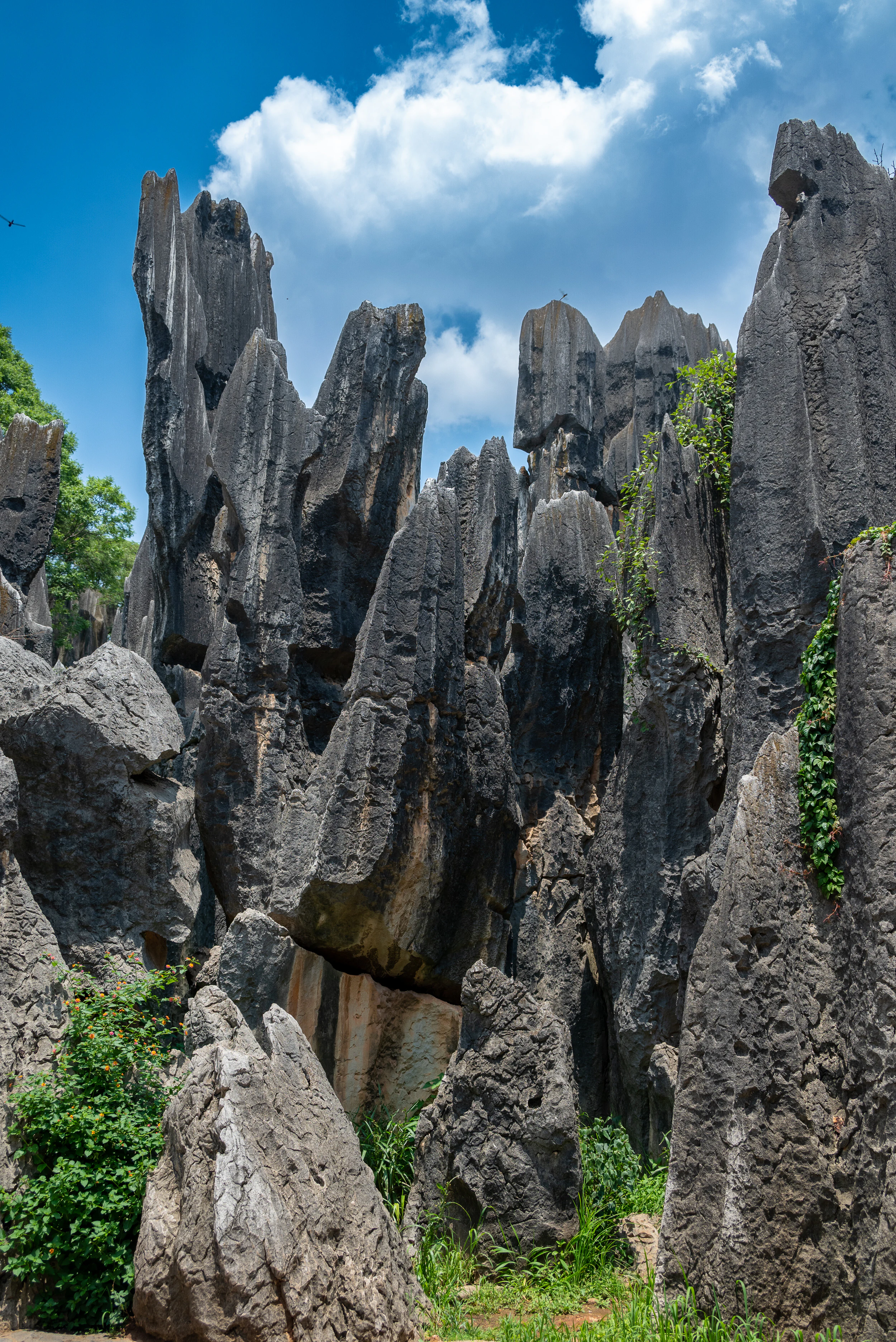 Formaciones rocosas verticales de piedra caliza gris con vegetación en la base bajo un cielo azul con nubes blancas.