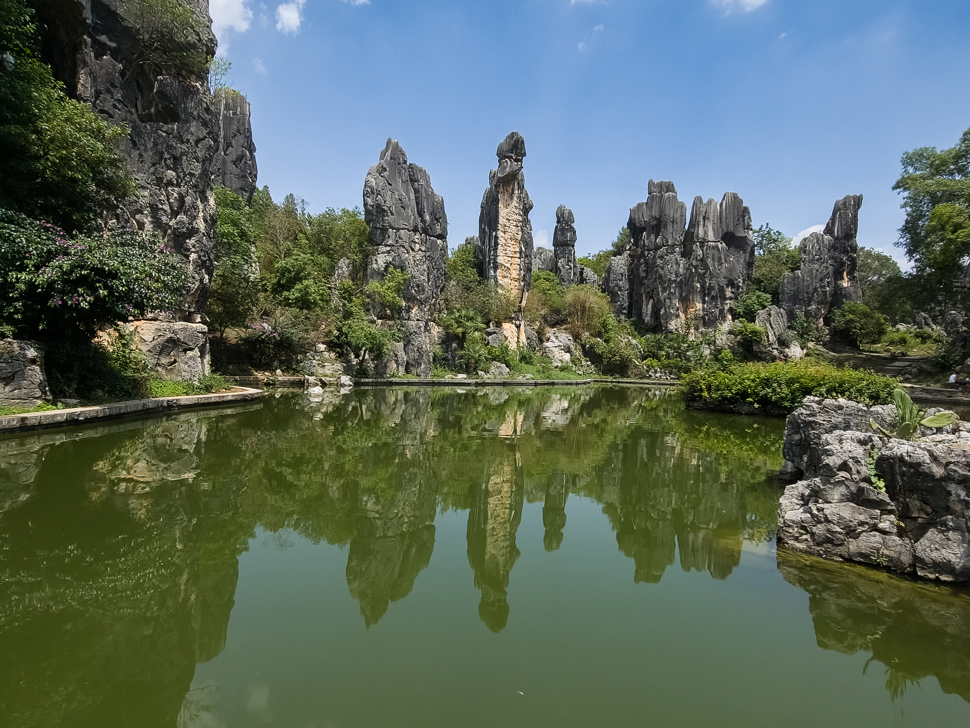 Formaciones rocosas de piedra caliza de color gris que se elevan sobre la vegetación verde, reflejadas en un estanque verde y tranquilo bajo un cielo azul.
