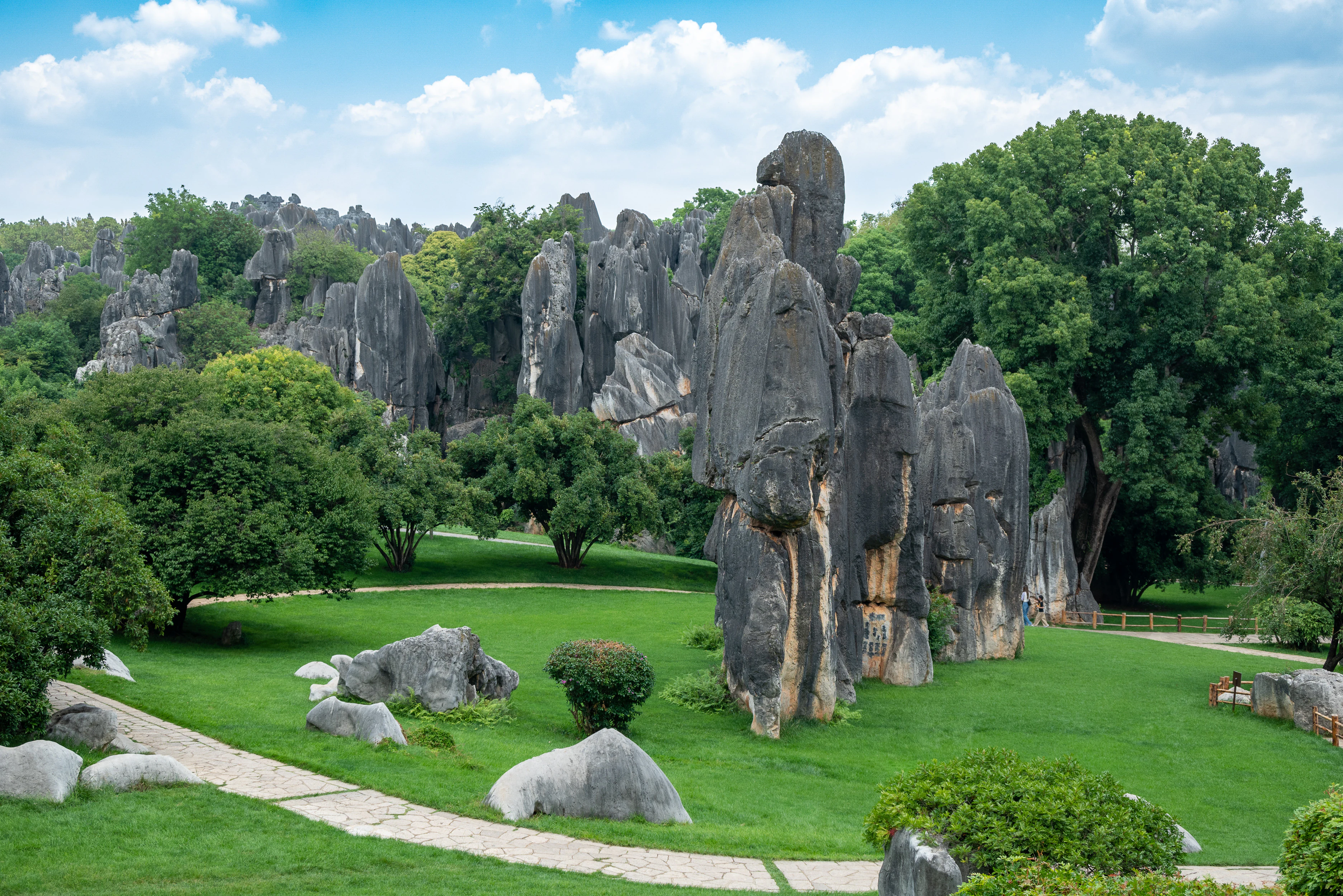Una vista panorámica del Área Escénica de Shilin, donde destacan formaciones rocosas grises que se alzan sobre un césped verde, con un sendero pavimentado y árboles bajo un cielo azul con nubes.